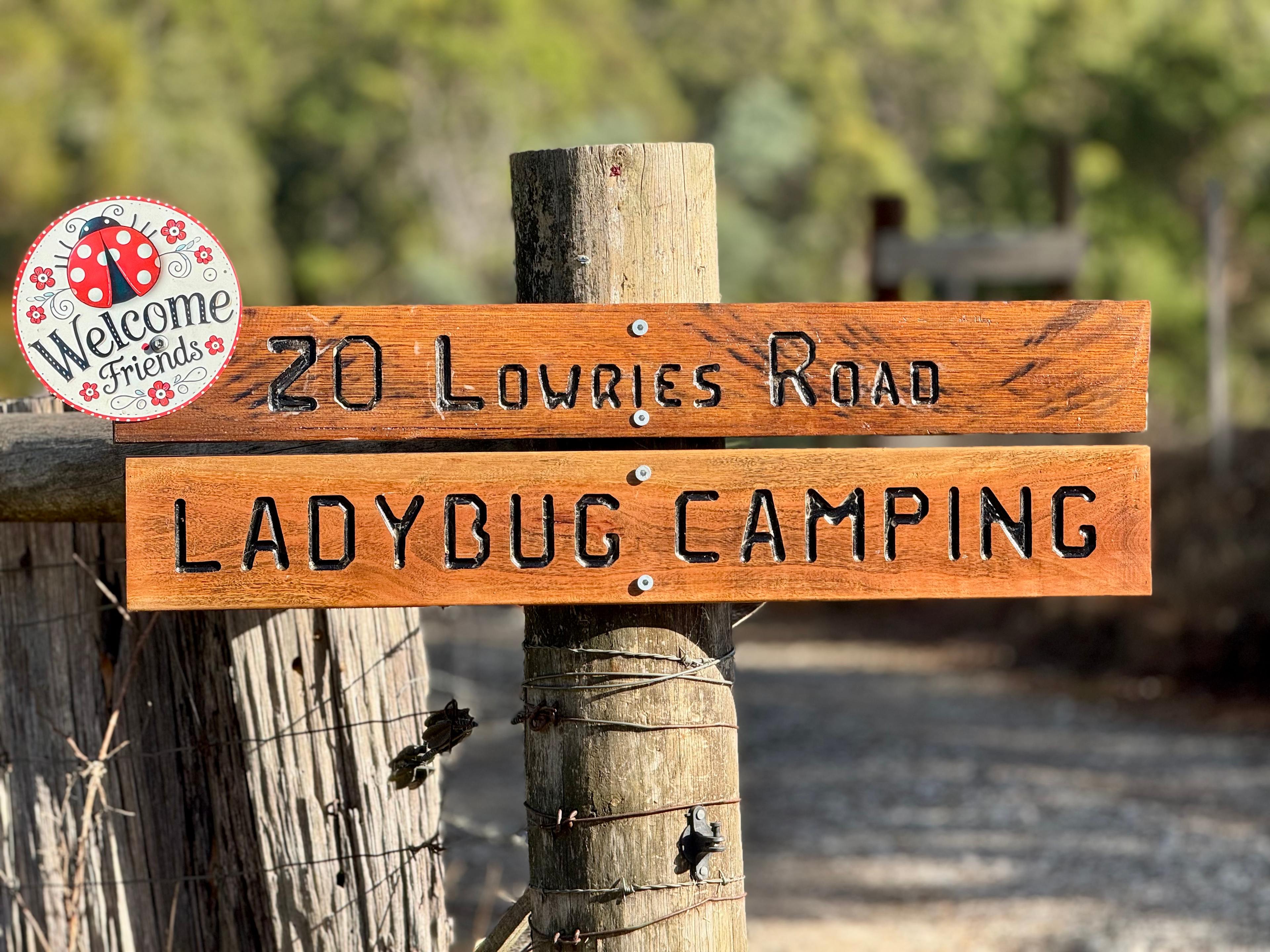 🐞🌿 Ladybug Camping 🌿🐞