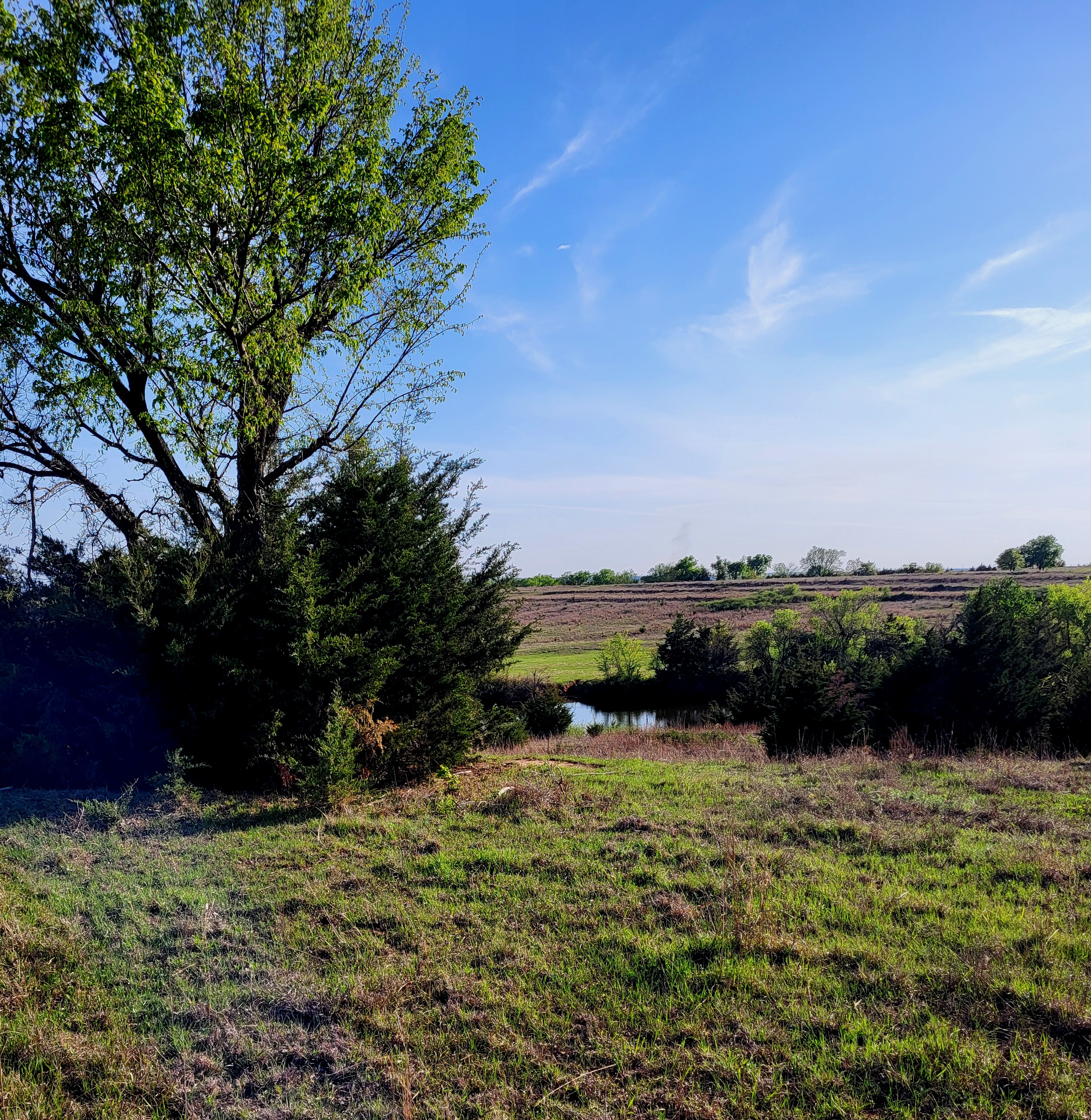Blissful Boondocking