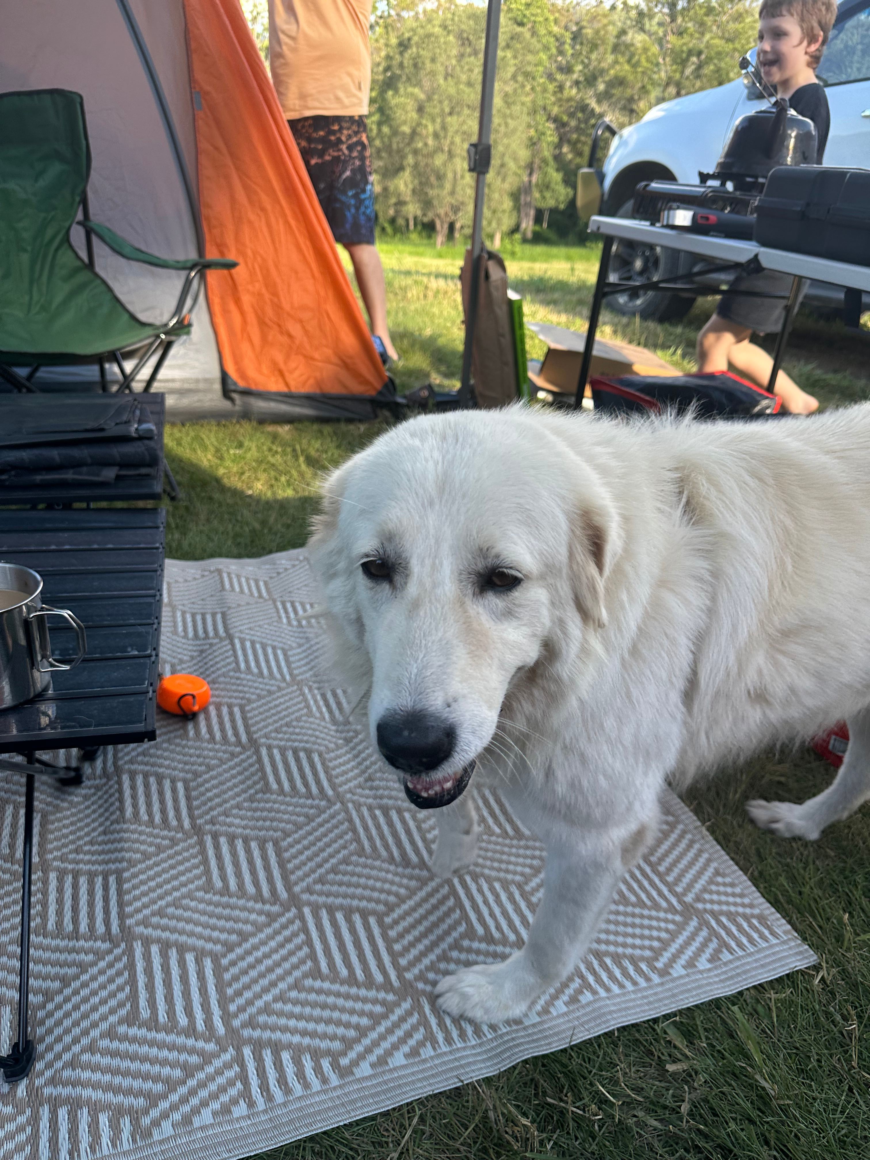 Wallaby Downs ~ Glamping Escape