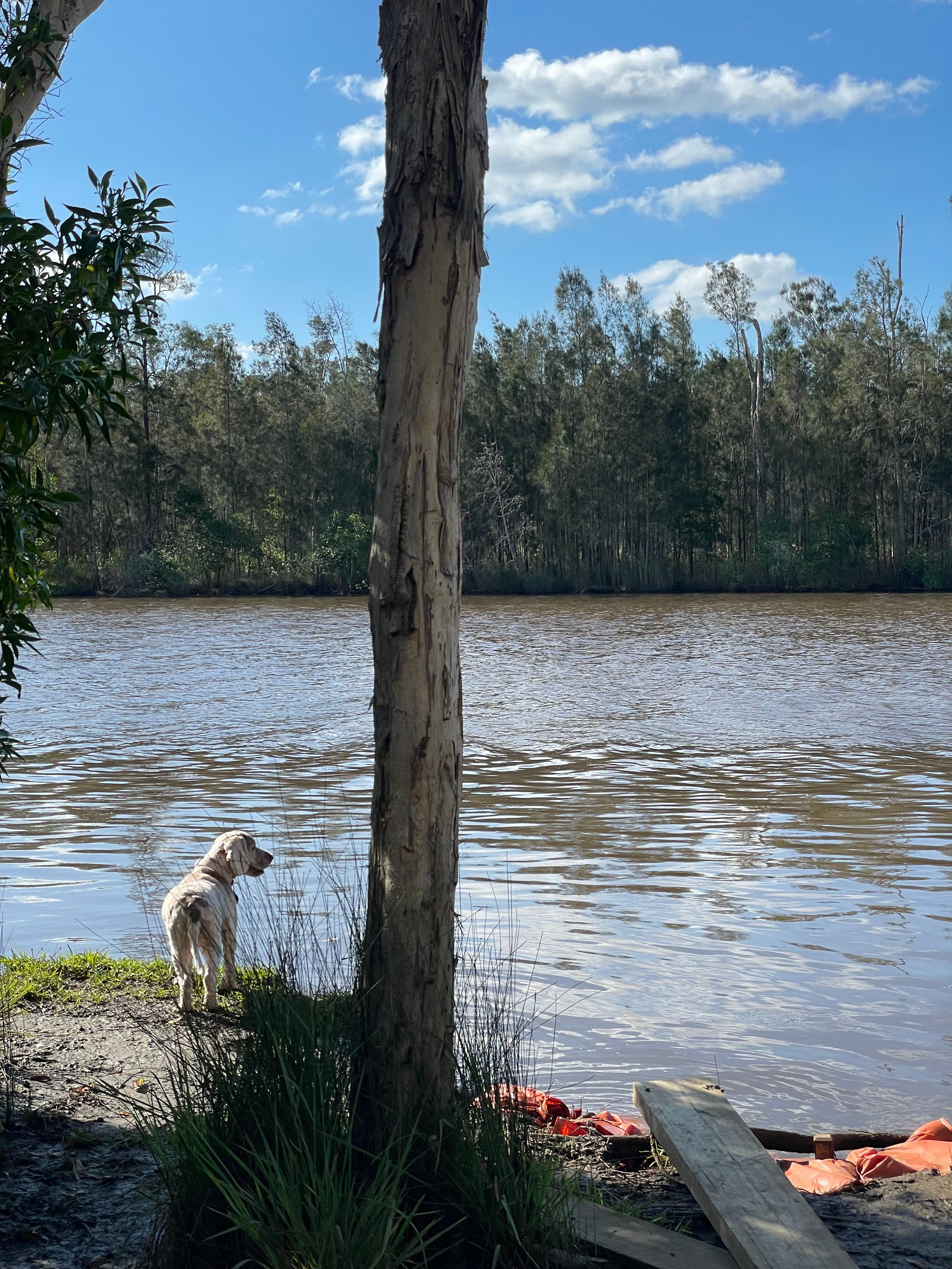 Noosa River Camping at Cooroibah