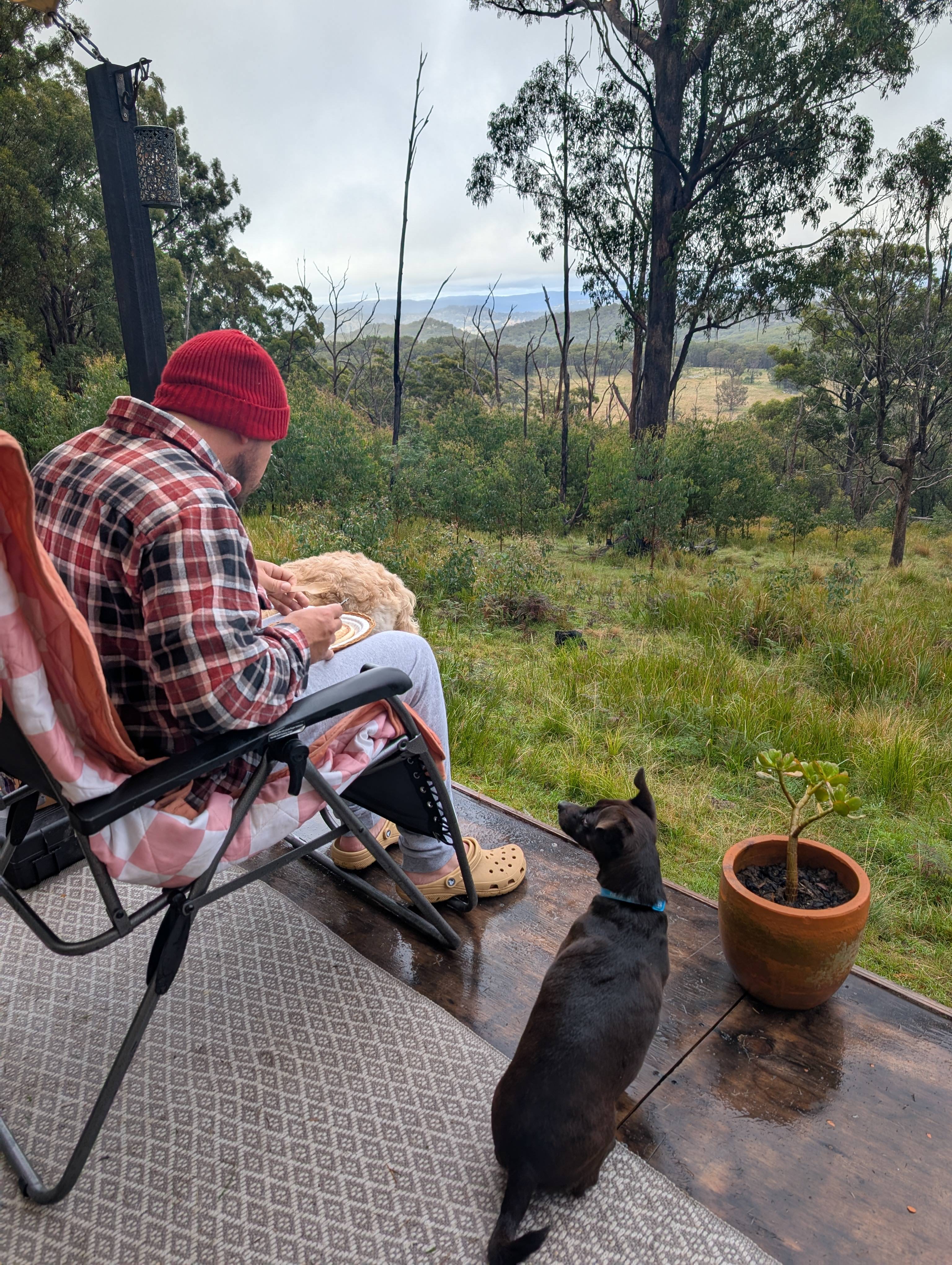 Breakfast with a vew 