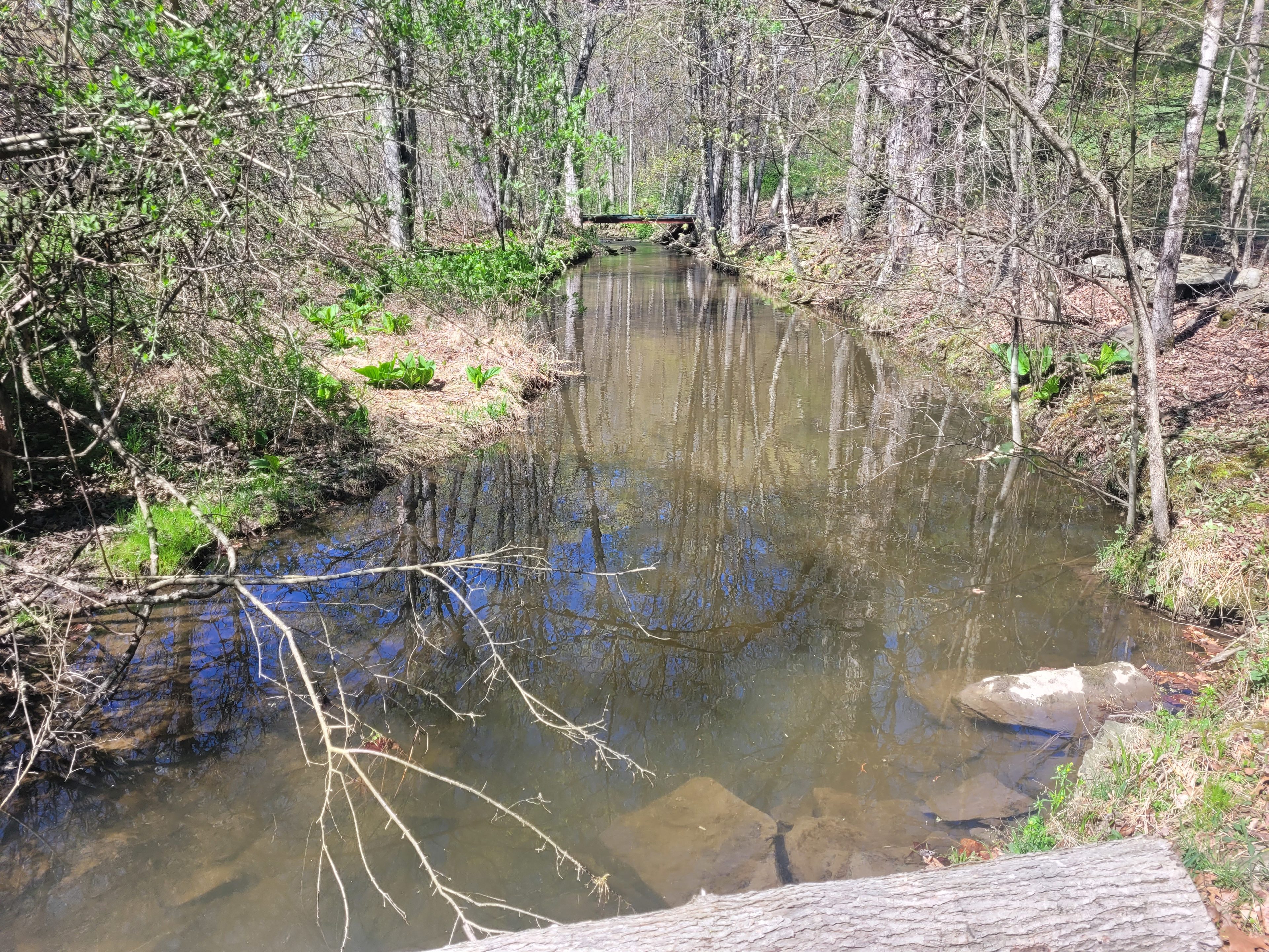 Reyburn Creek