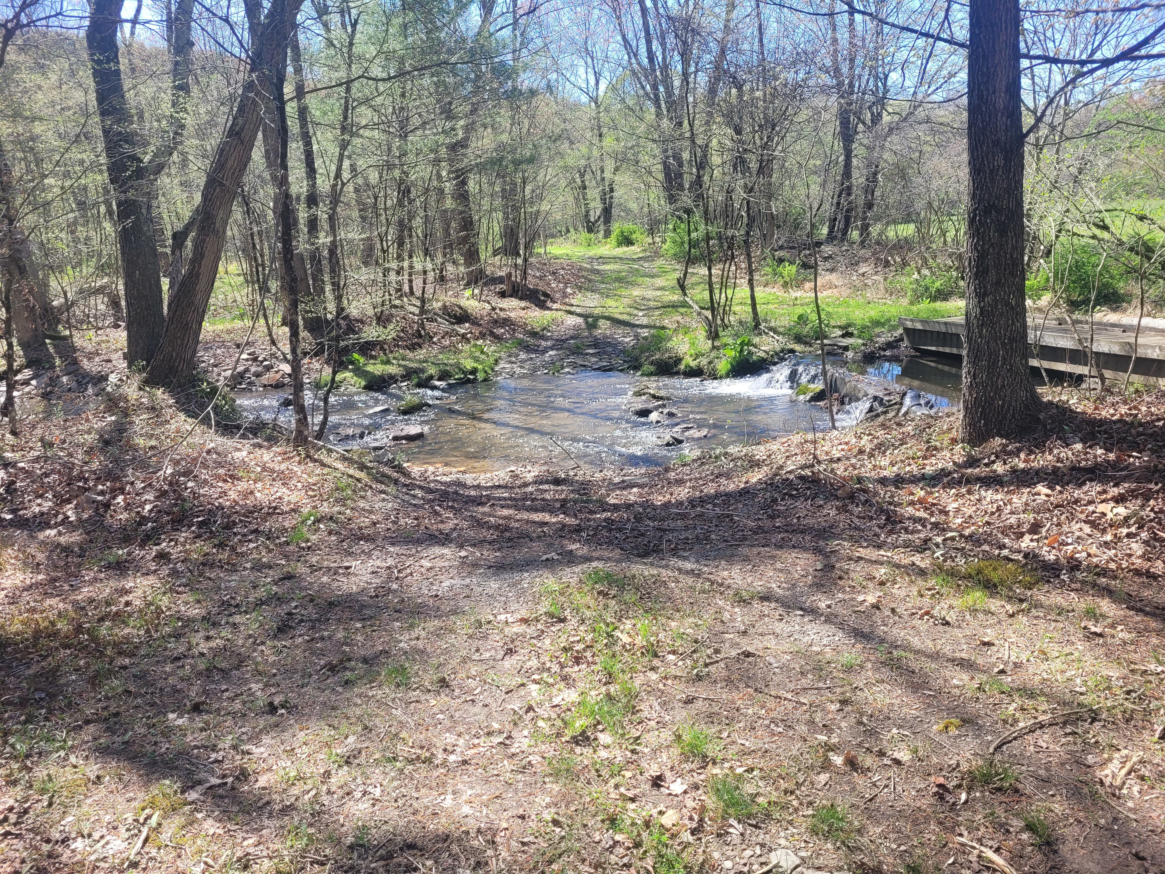 Reyburn Creek