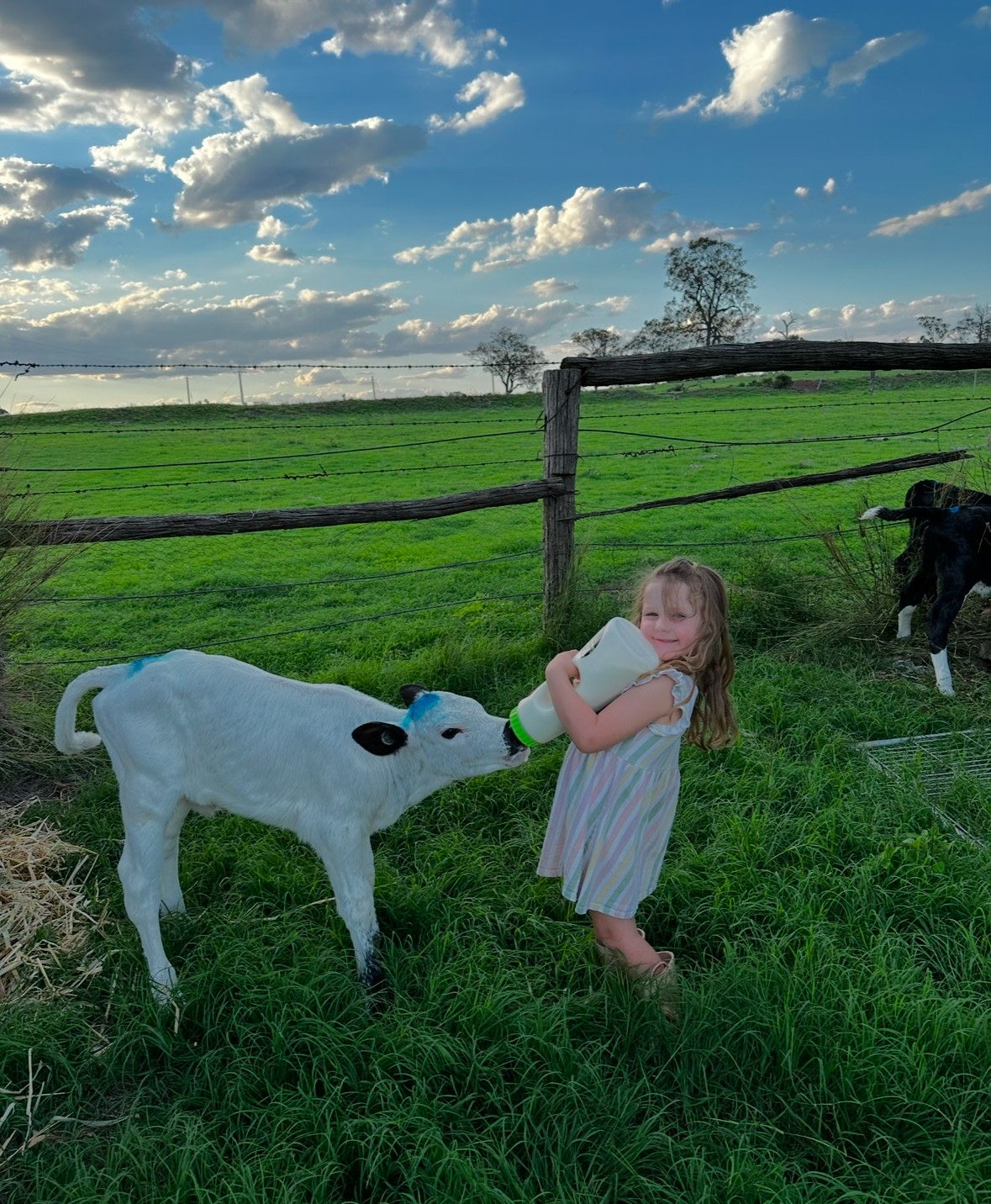Valley View Farm