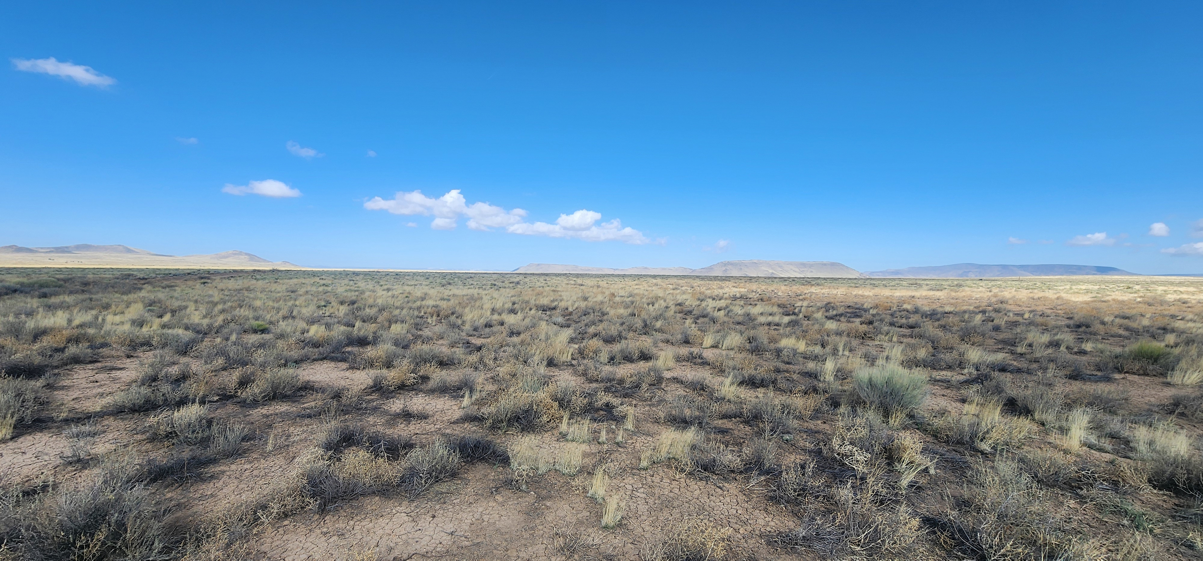 Secluded Camping Close Rio Grande