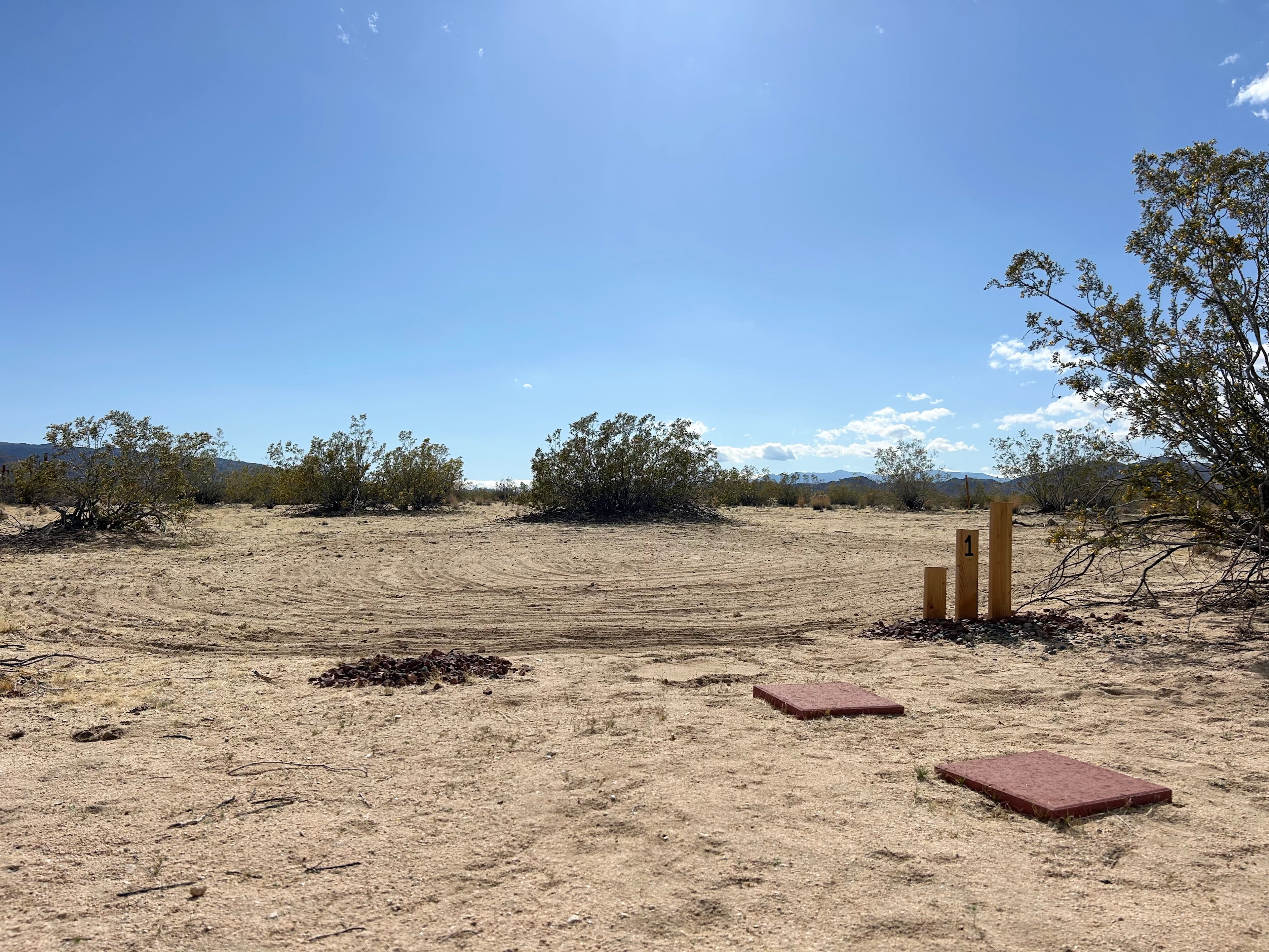 Tranquil Joshua Tree Getaway 🔭