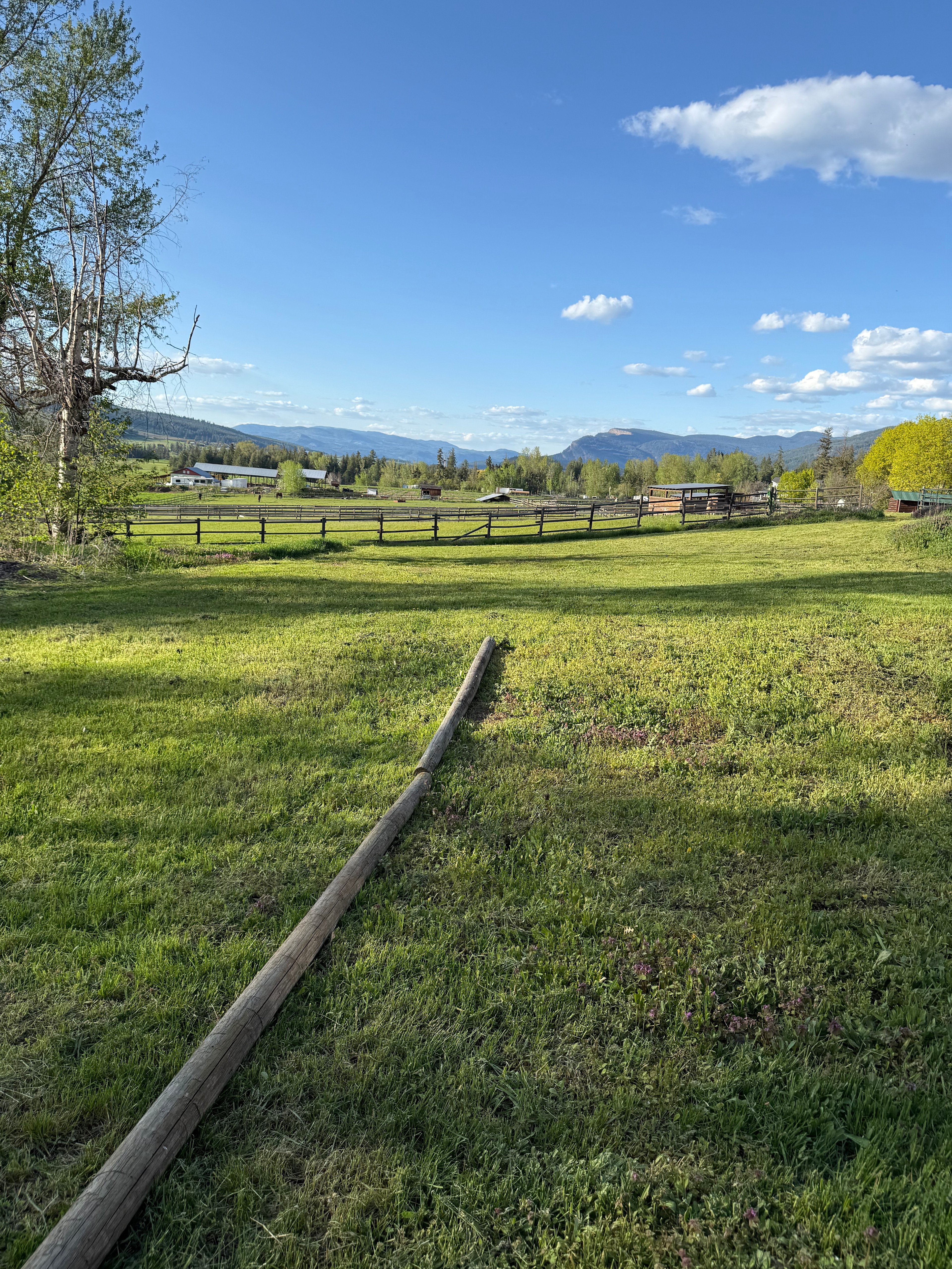 Haven Hill Family Farm