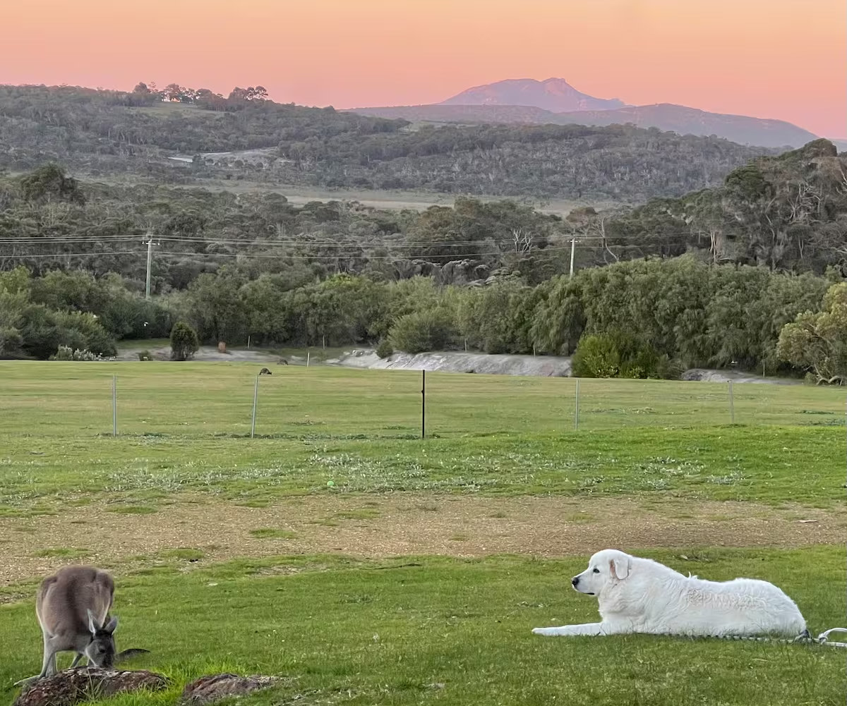 Two Peoples Bay Stays