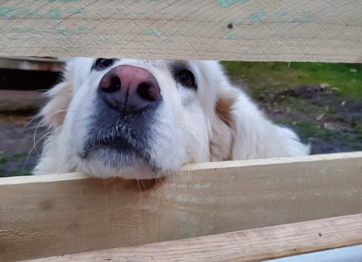 Two Peoples Bay Stays