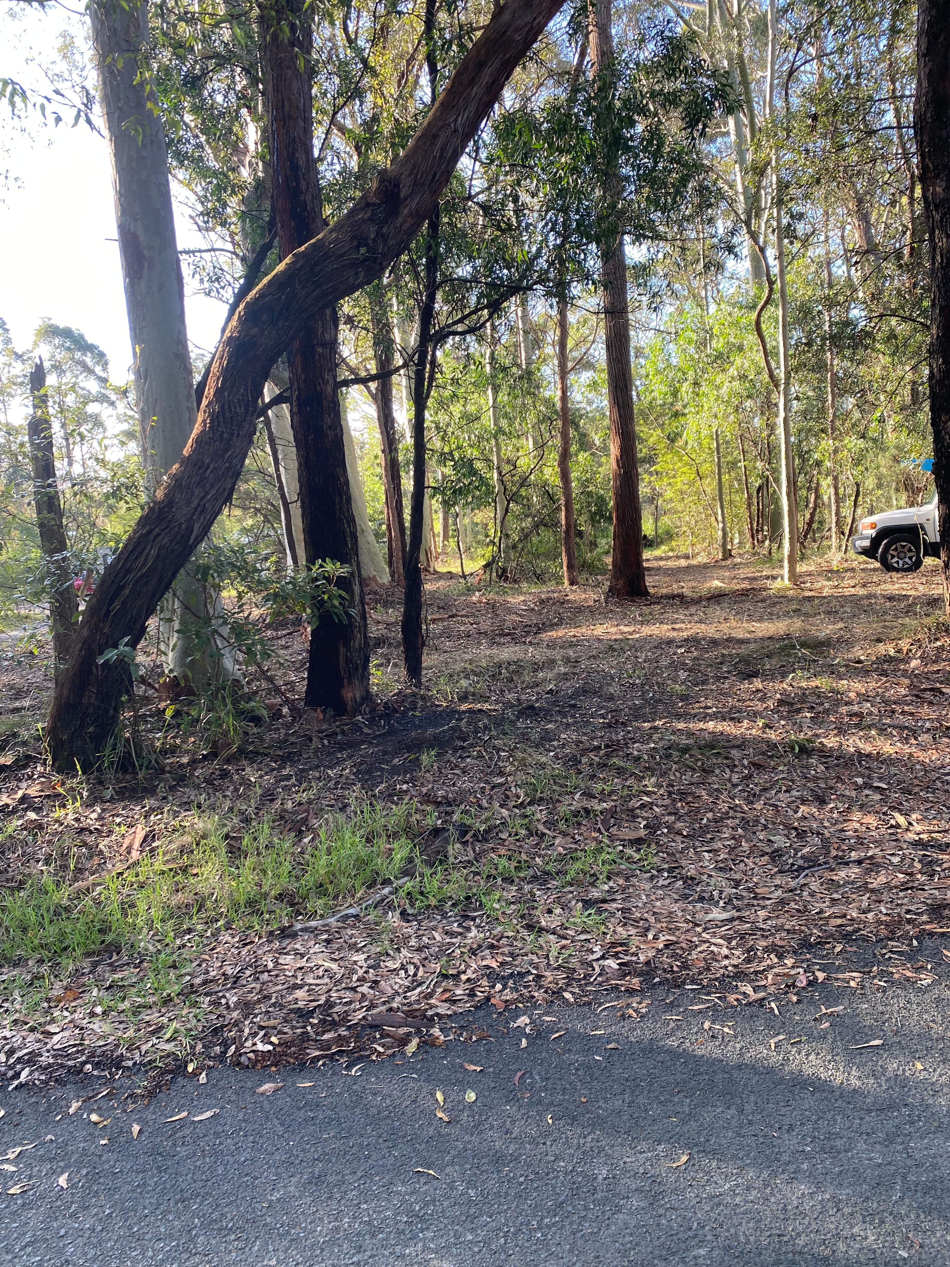 Birriga Bushland Camp