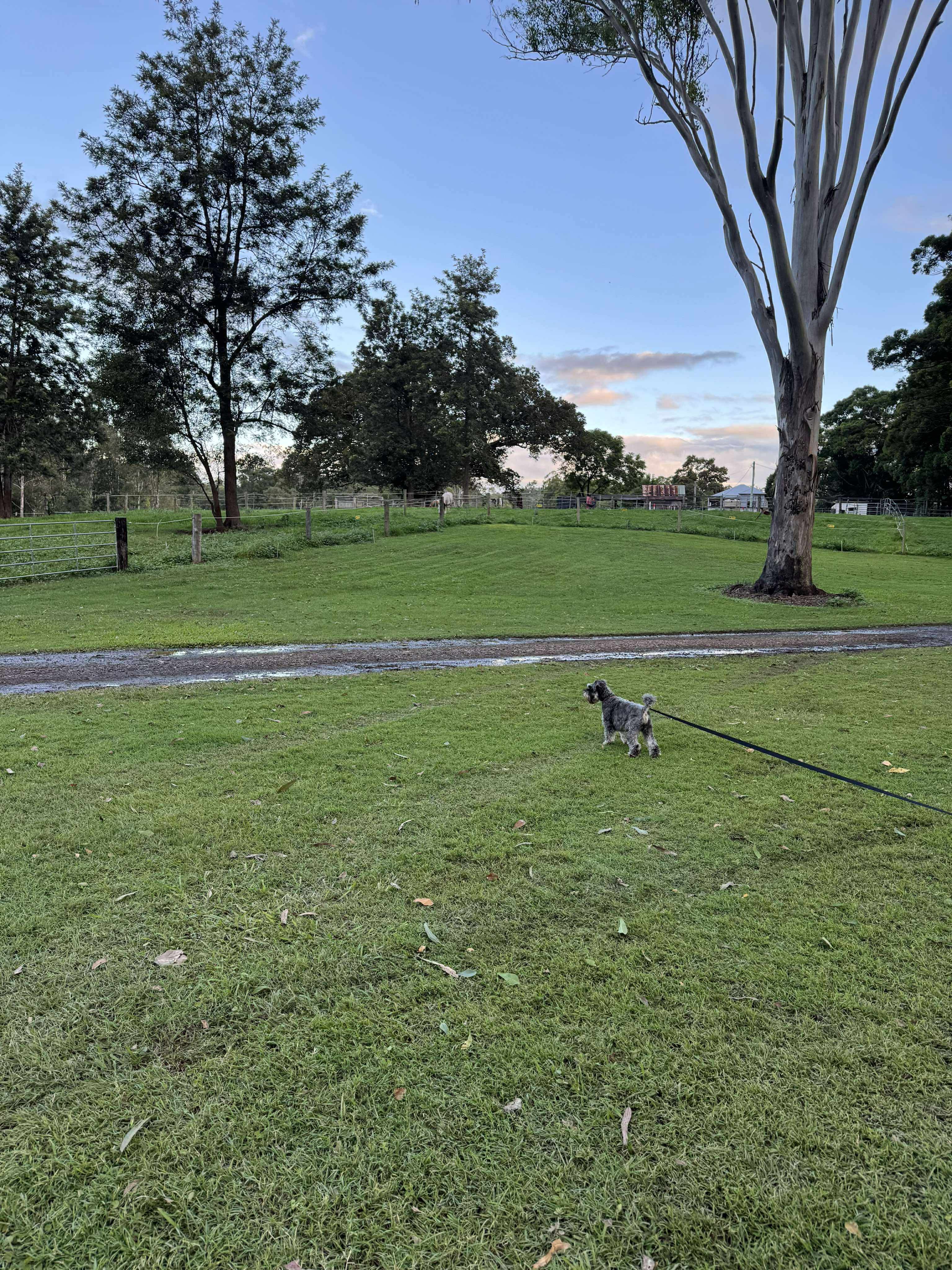 Yabba Creek Farm
