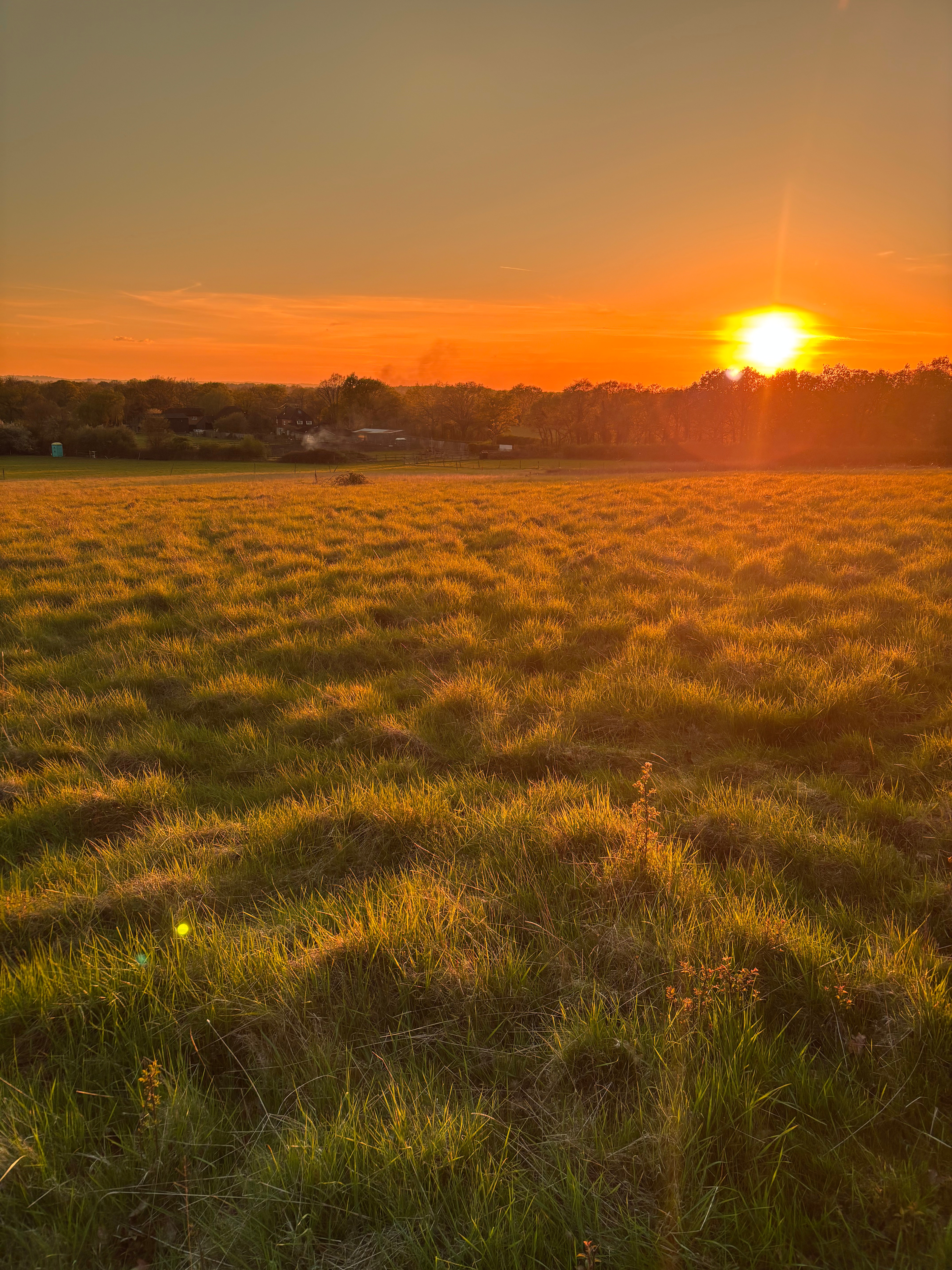 Sunset on the top of the hill is the perfect way to end the day