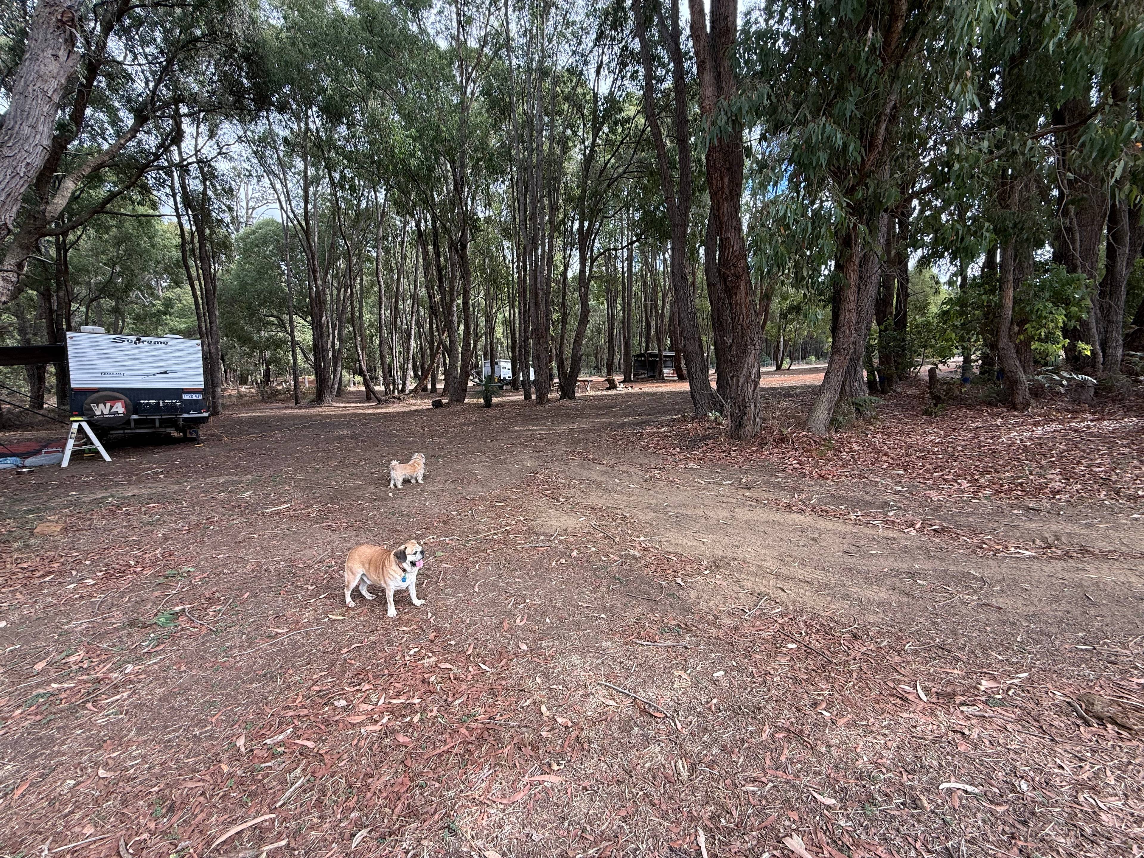 Valley views dwellingup