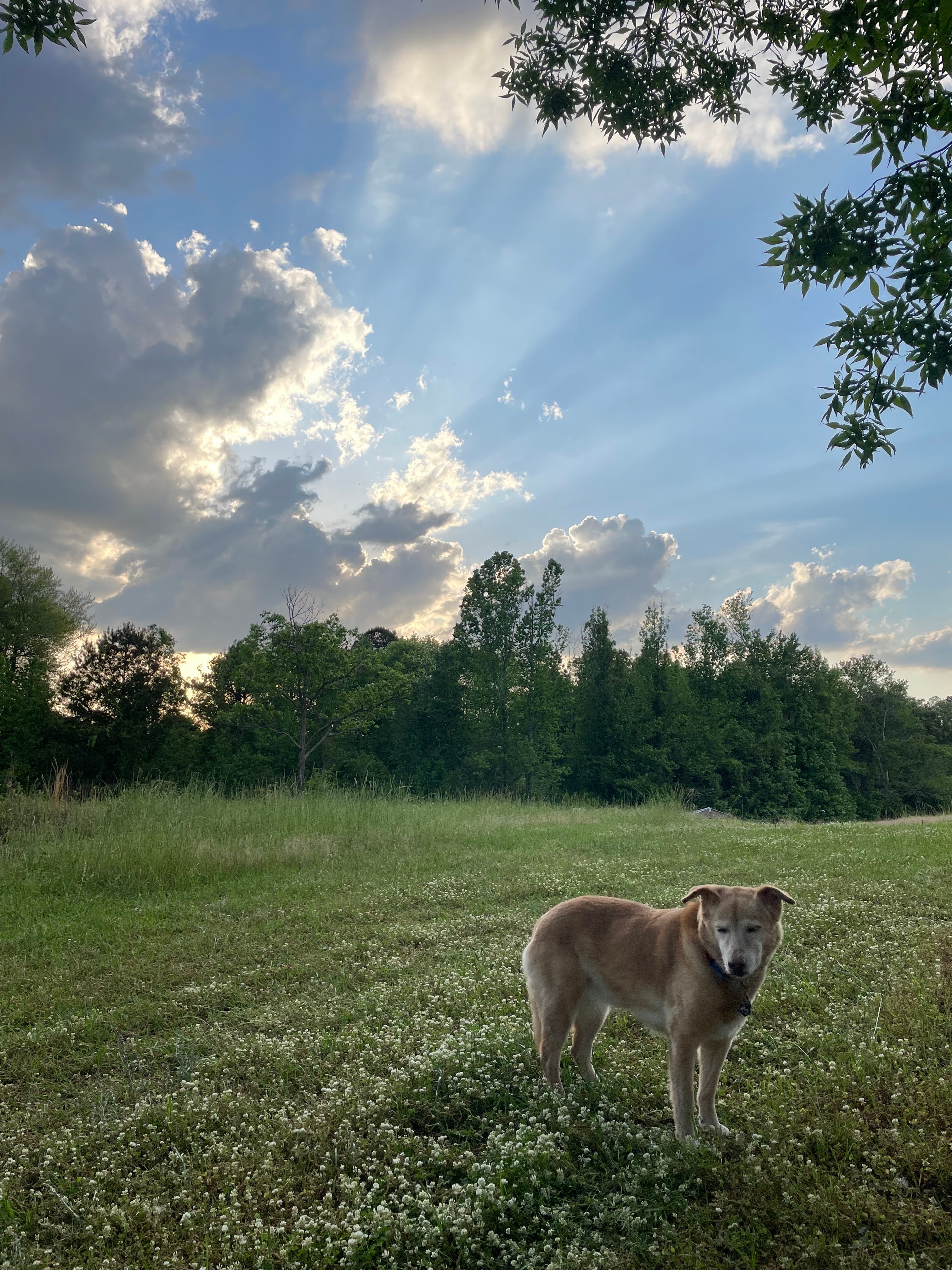 Zoey loved the open space! 