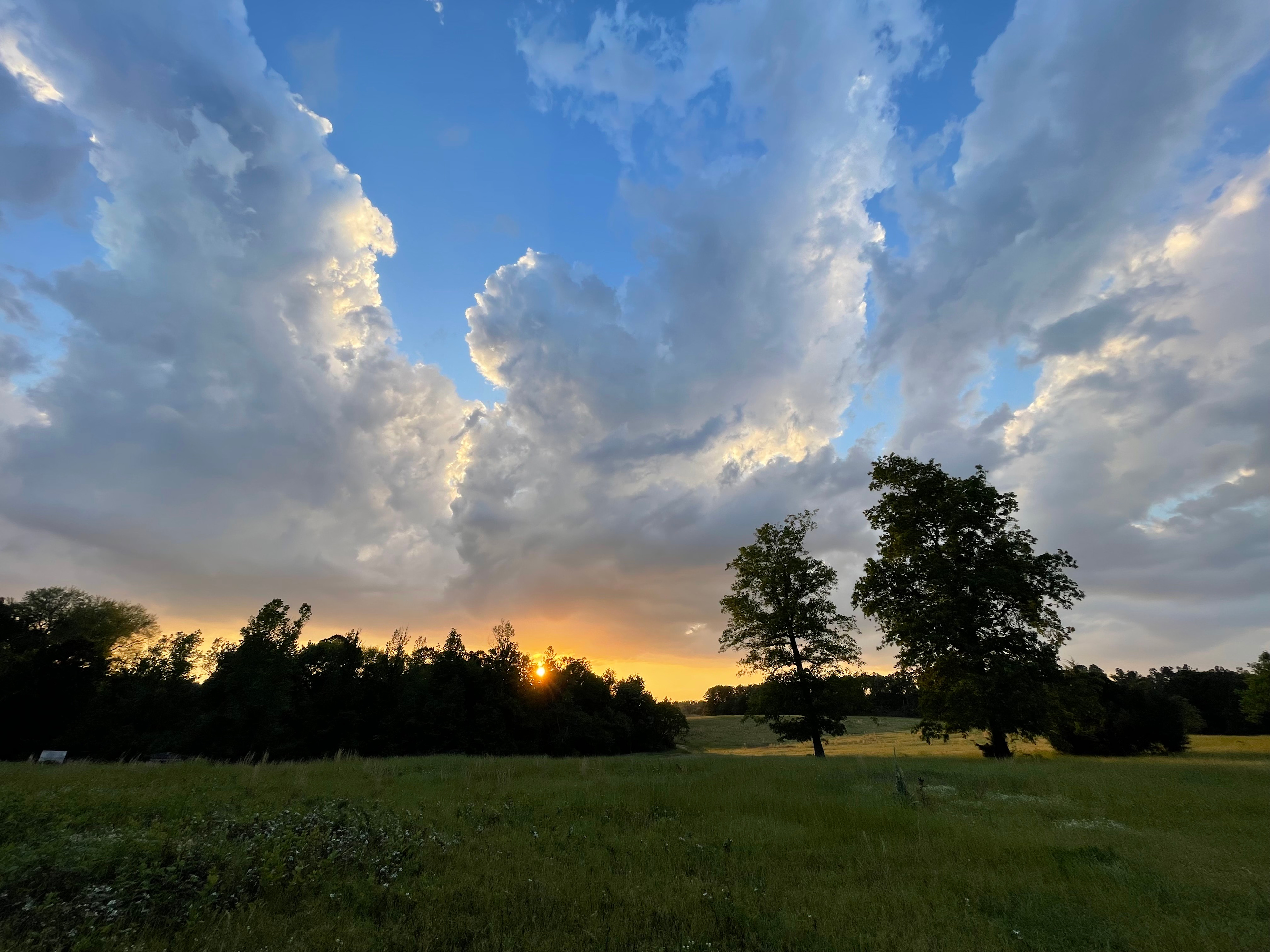 Gullatte Acres