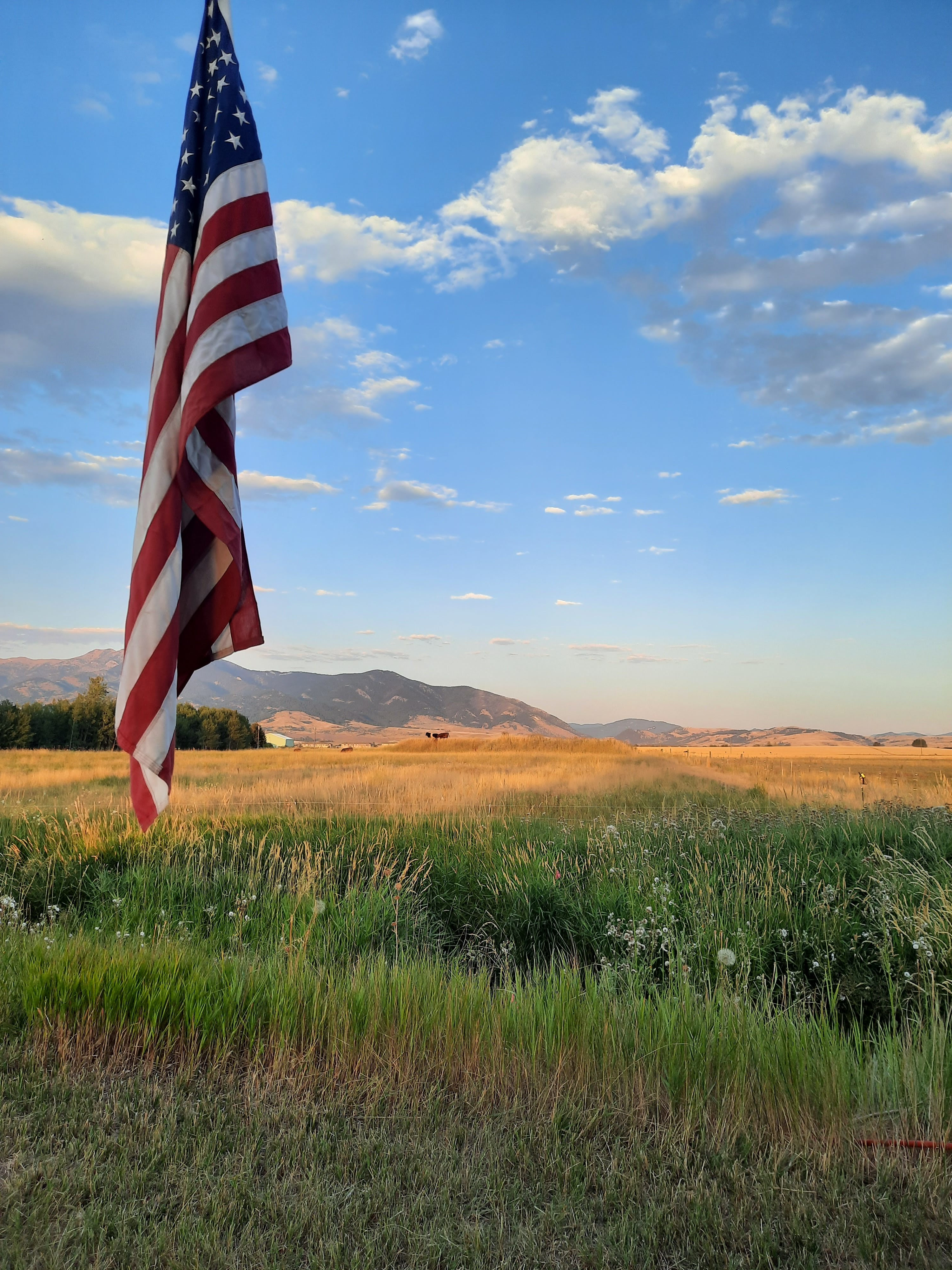 Creekside at Liberty Acres Bozeman