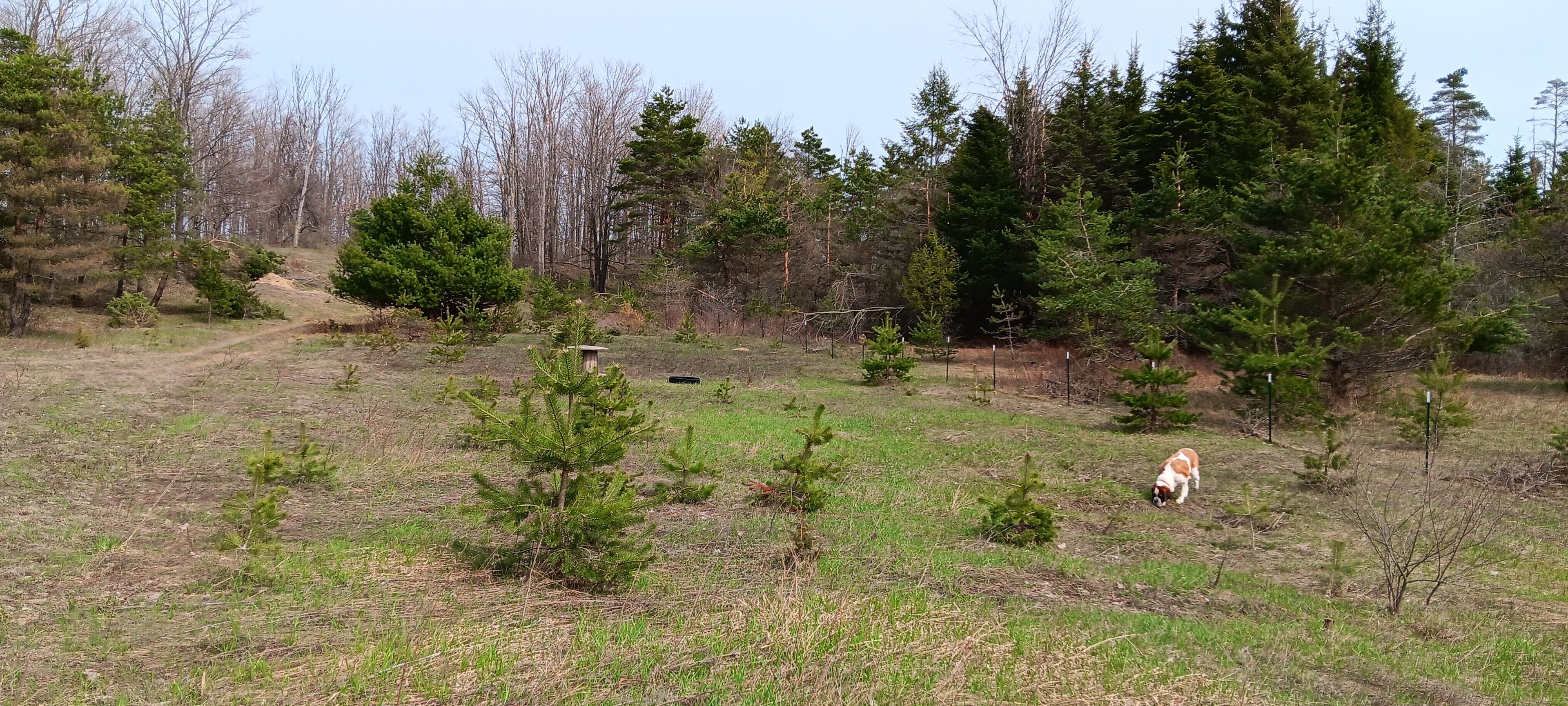 Wildwood Harbor Hideaway Boyne City