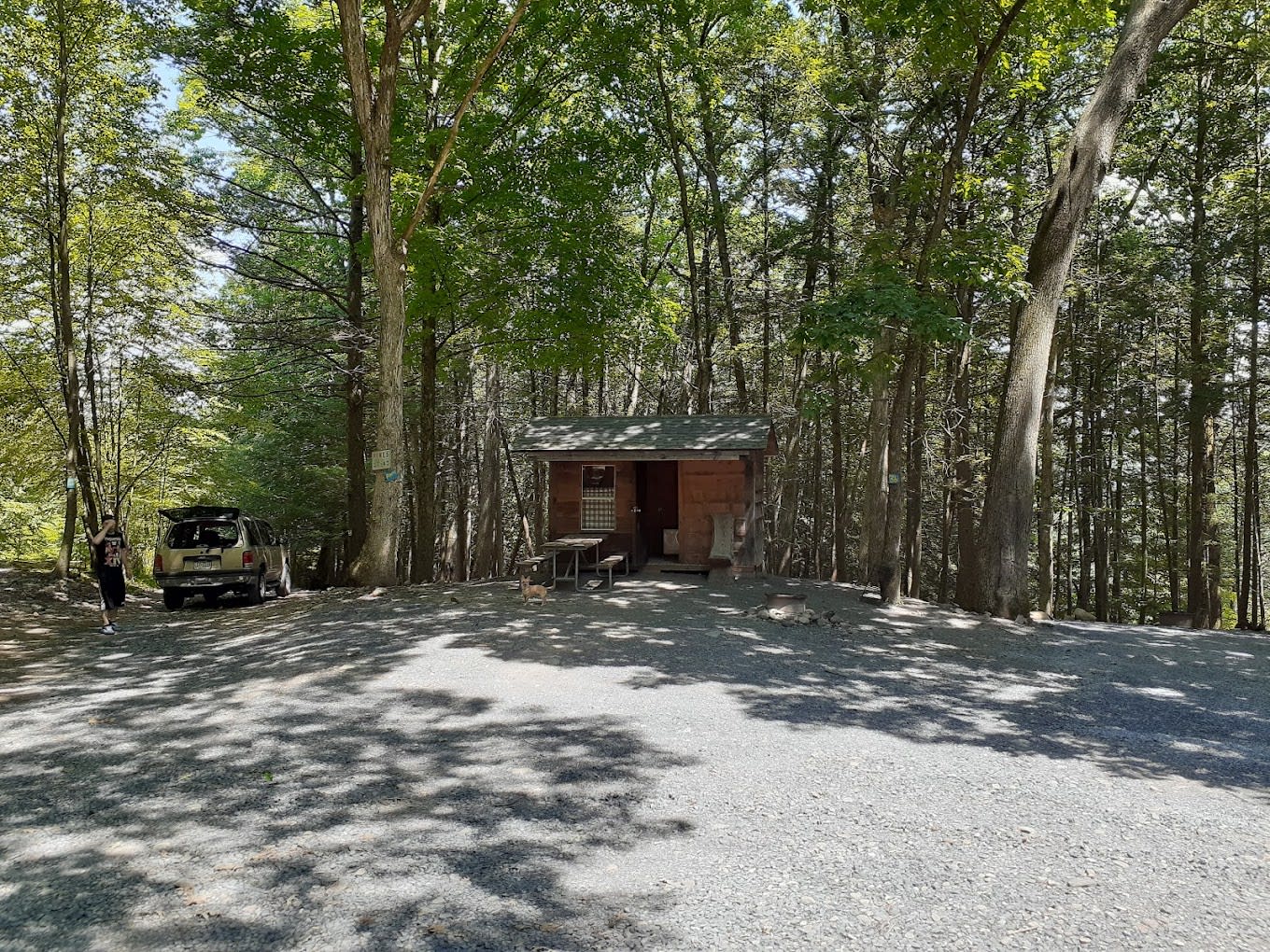 Cranberry Run Campground