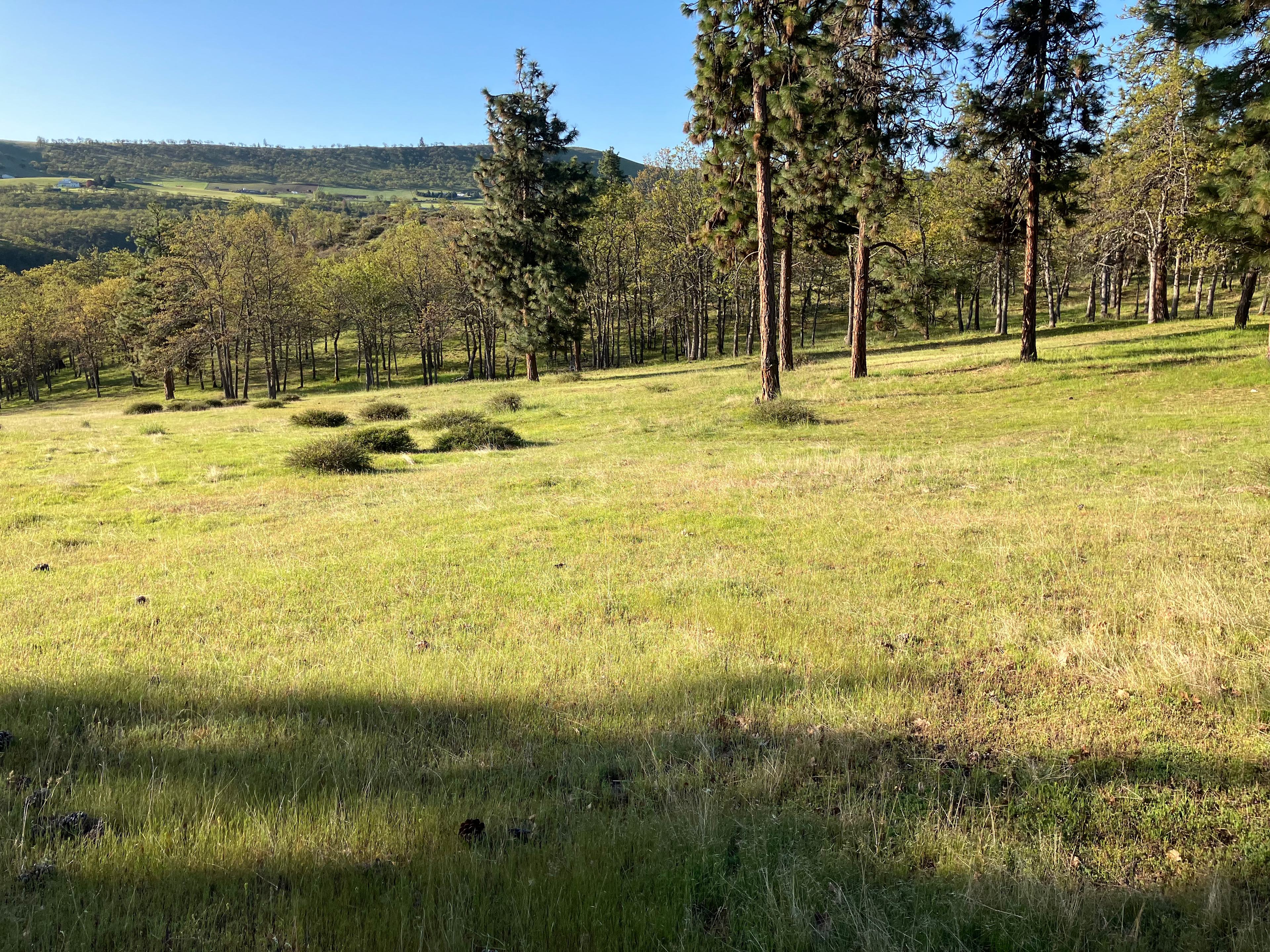 Harth Hideaway