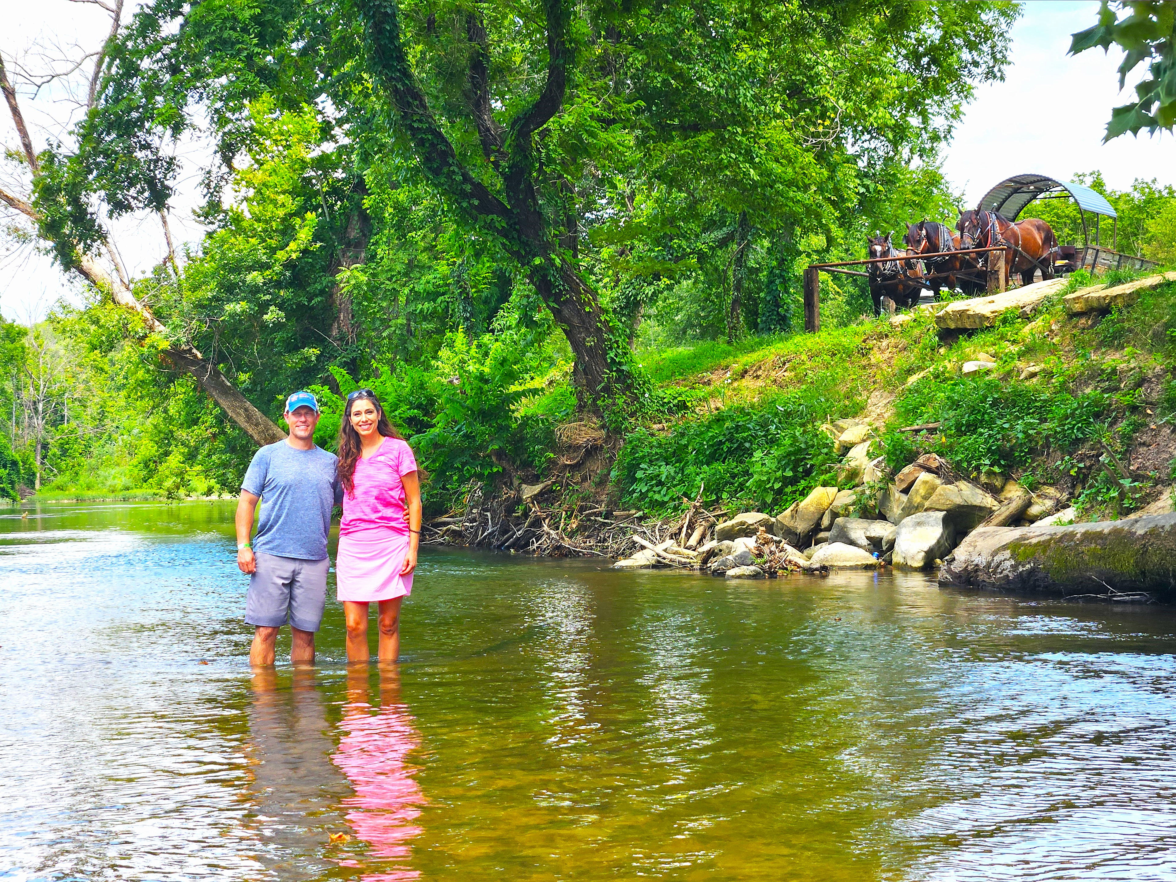 Clydesdale Experience & Campgrounds