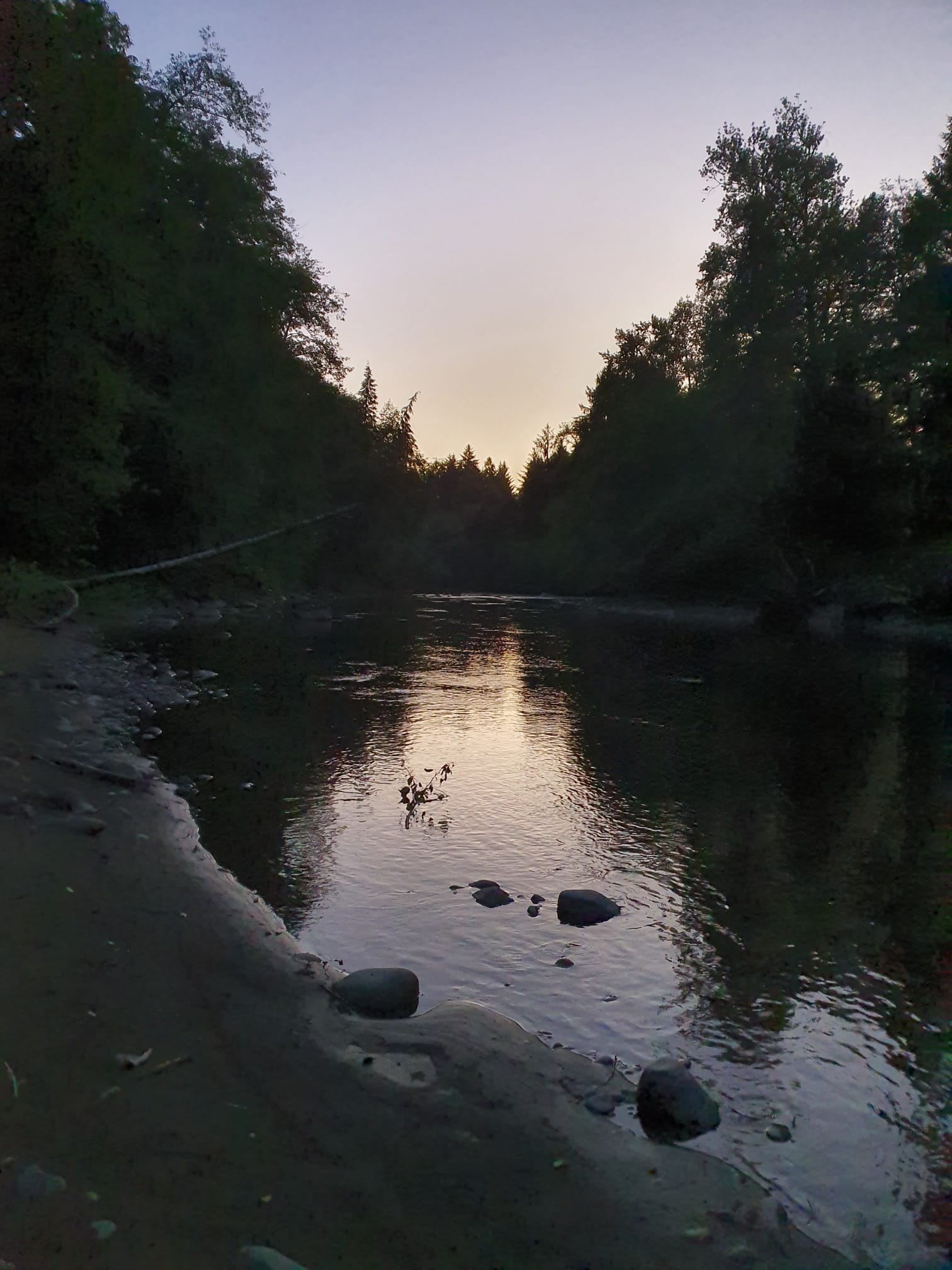 Bogachiel Upriver Campsites