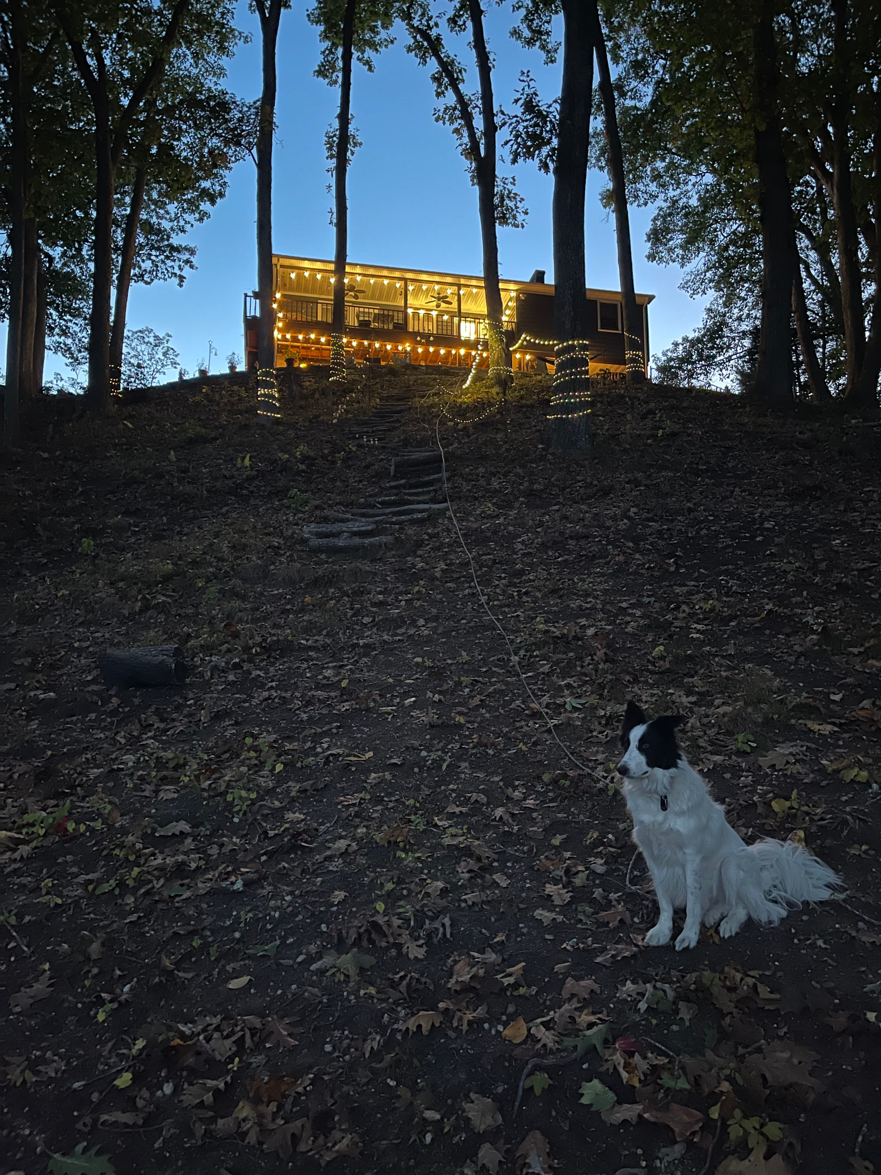 View of the back of the house from the river’s edge