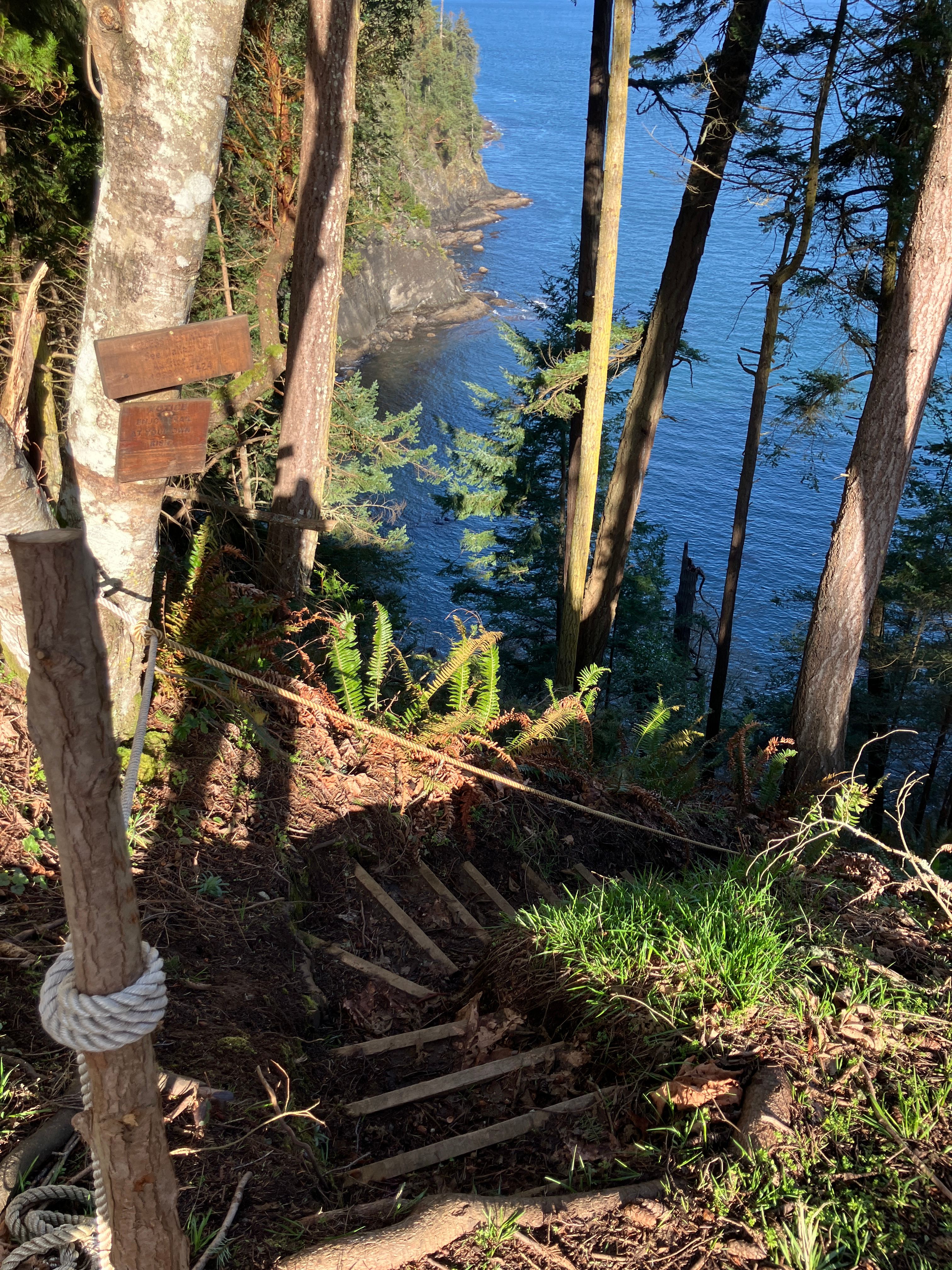 View from the Solo Stove fire pit and the start of the trail down to the cove.