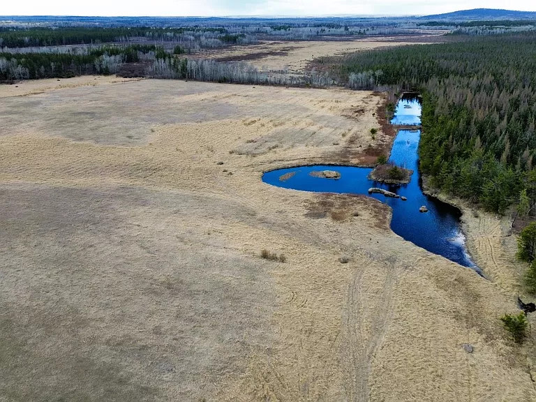 The Hoffman Hideaway