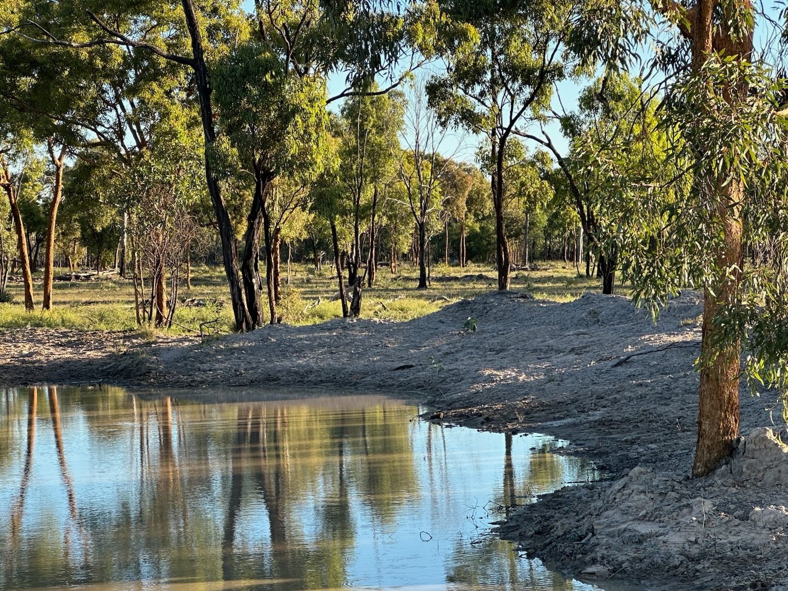 Bush Camp @ Slygo Station