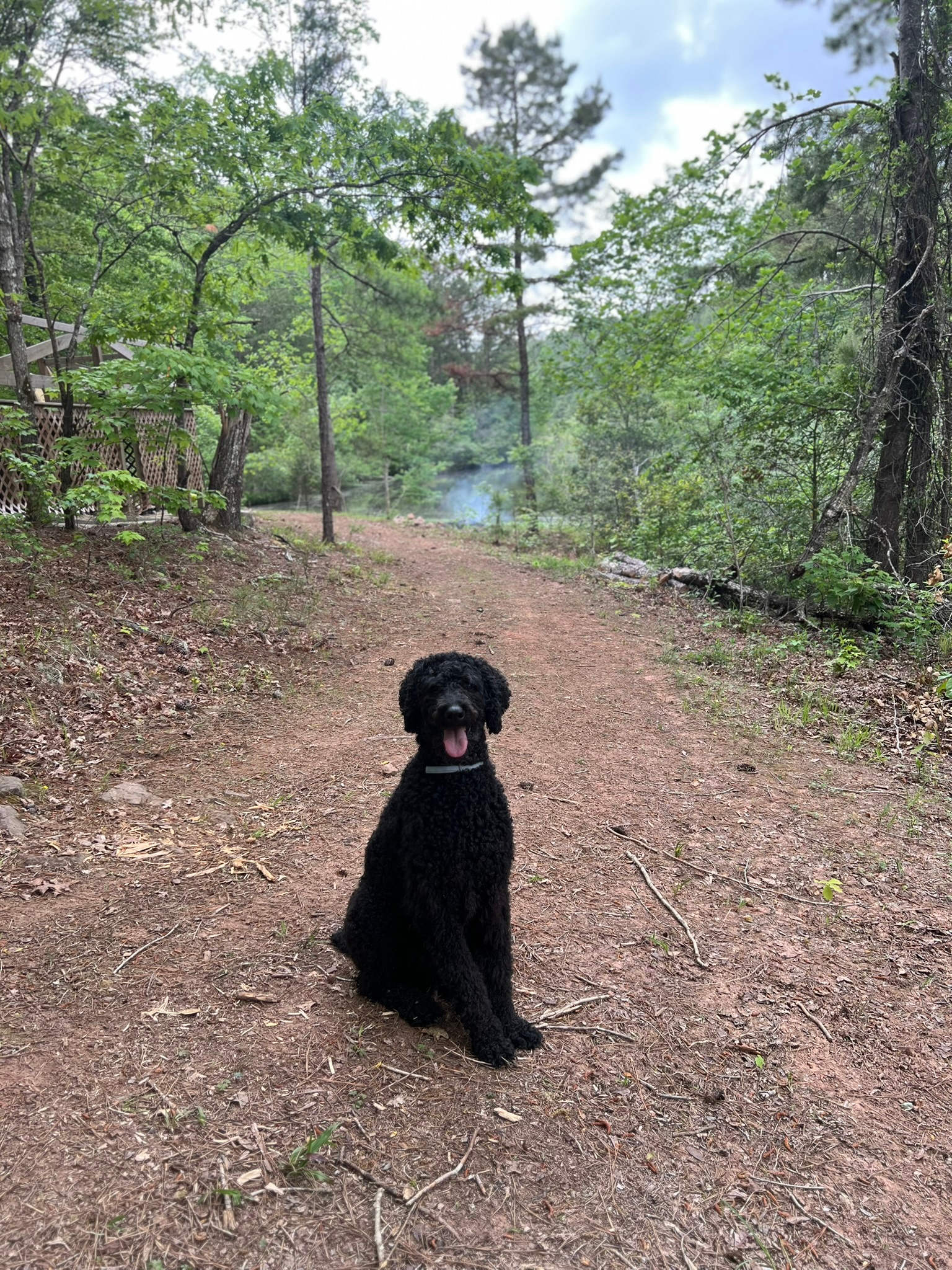 Lavender & Lore Farms Campsite
