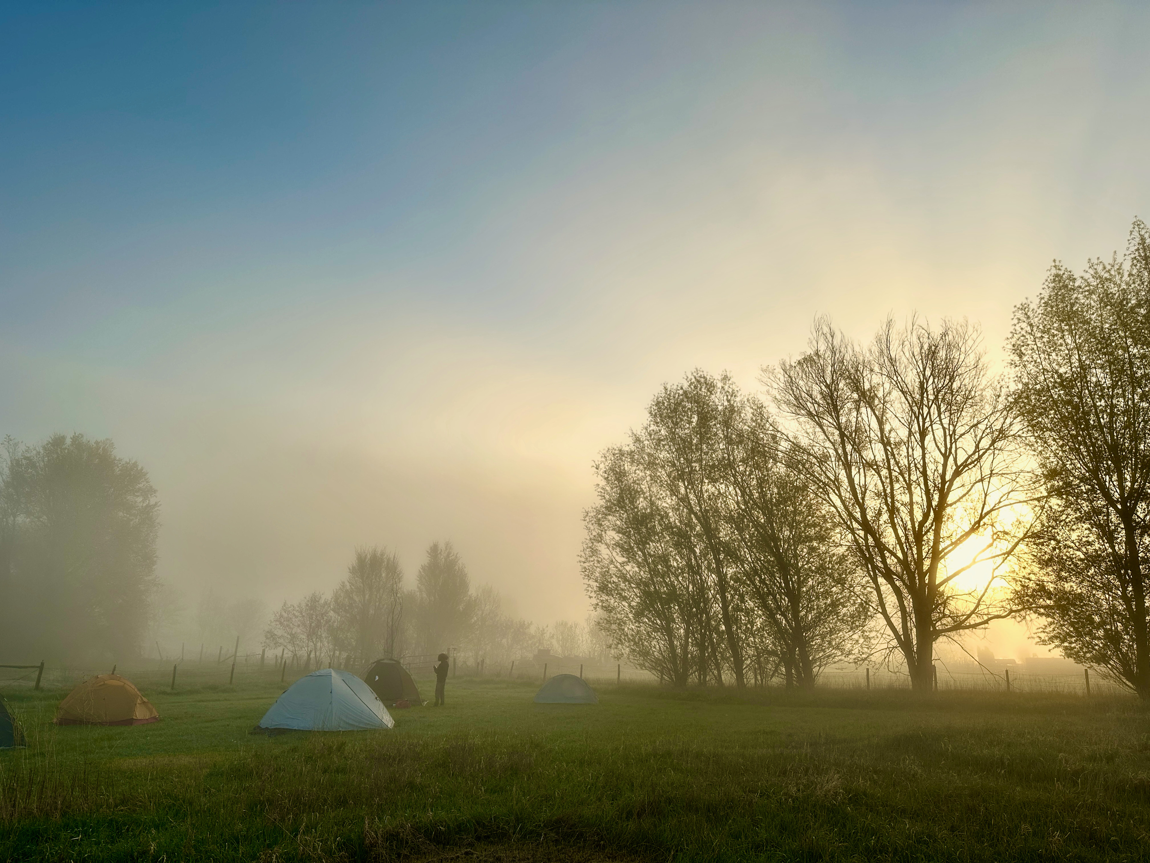 Walk-In Tent Meadow at Sunrise