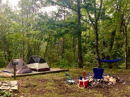 Quiet Oasis, Forest Views