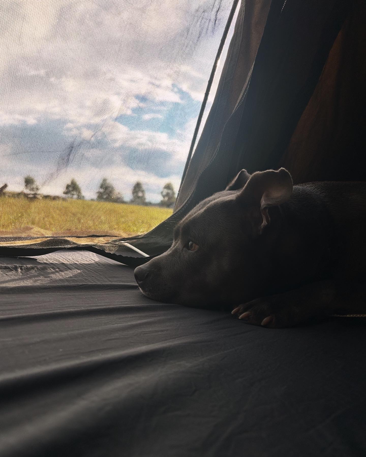 Berrima Camping & Farmstay