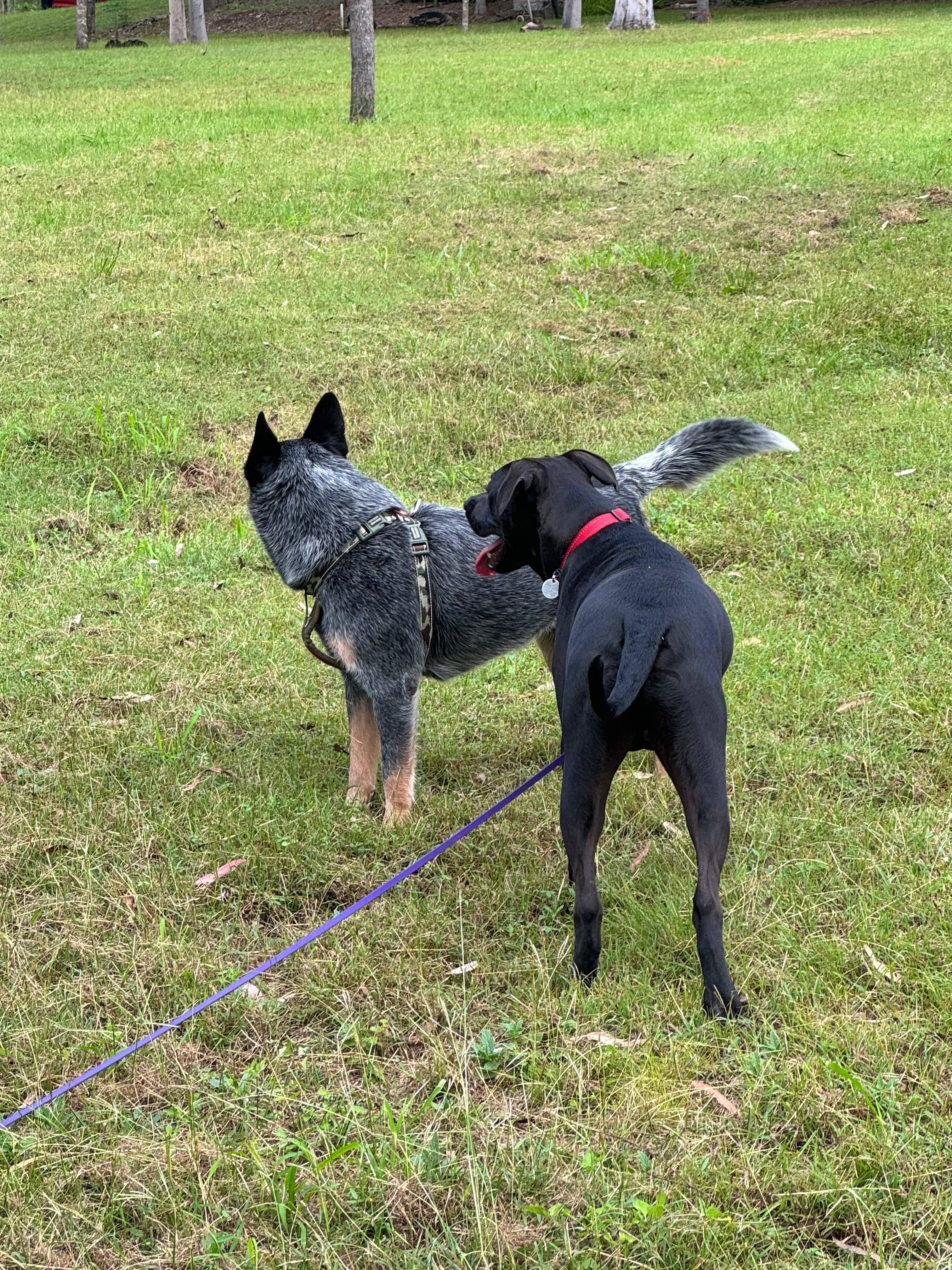 Hideaway Haven Bed & Breakfast.