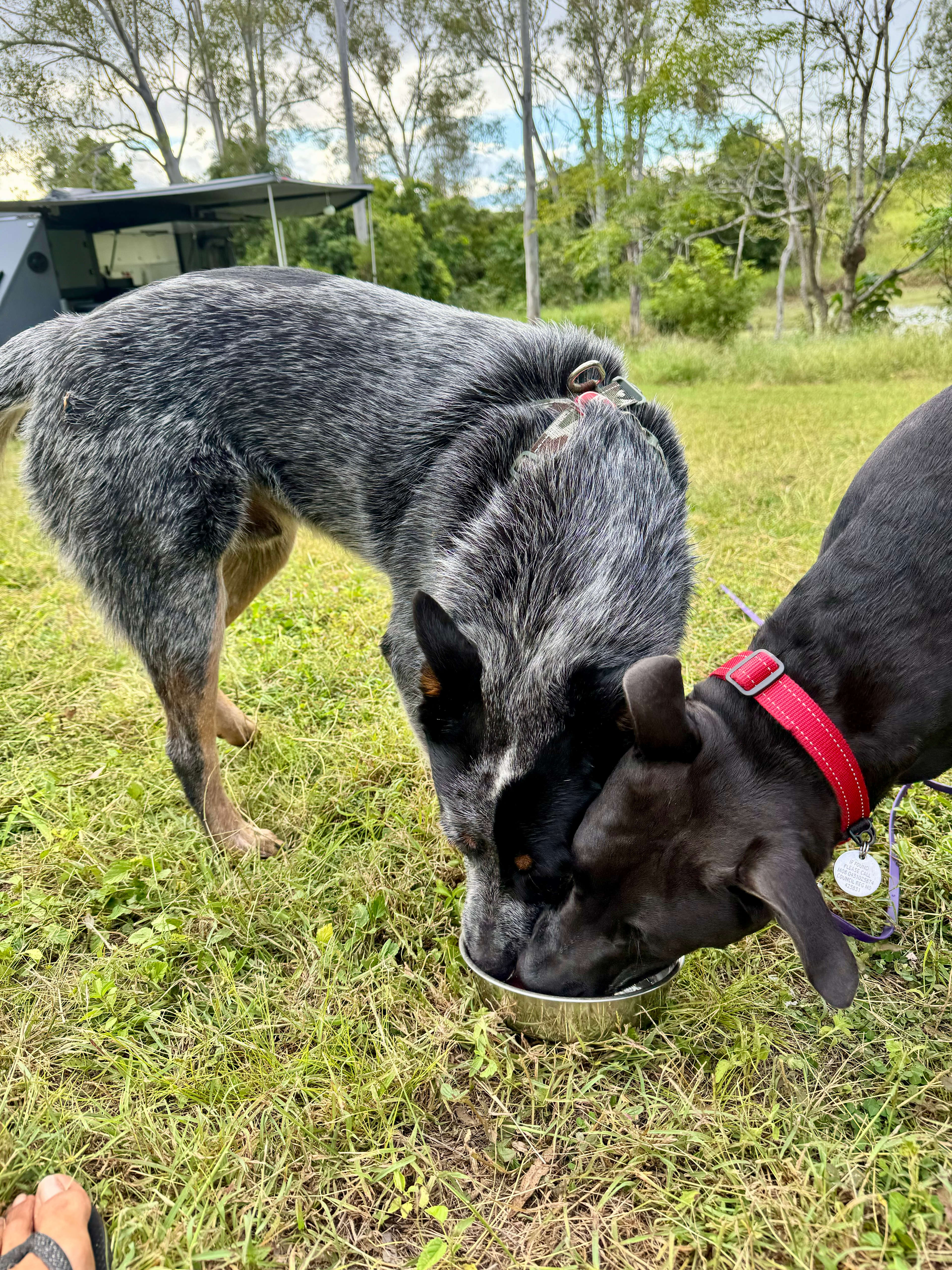 Hideaway Haven Bed & Breakfast.