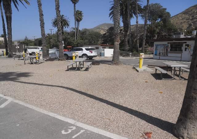 Rv Site/Tent Campsite 31