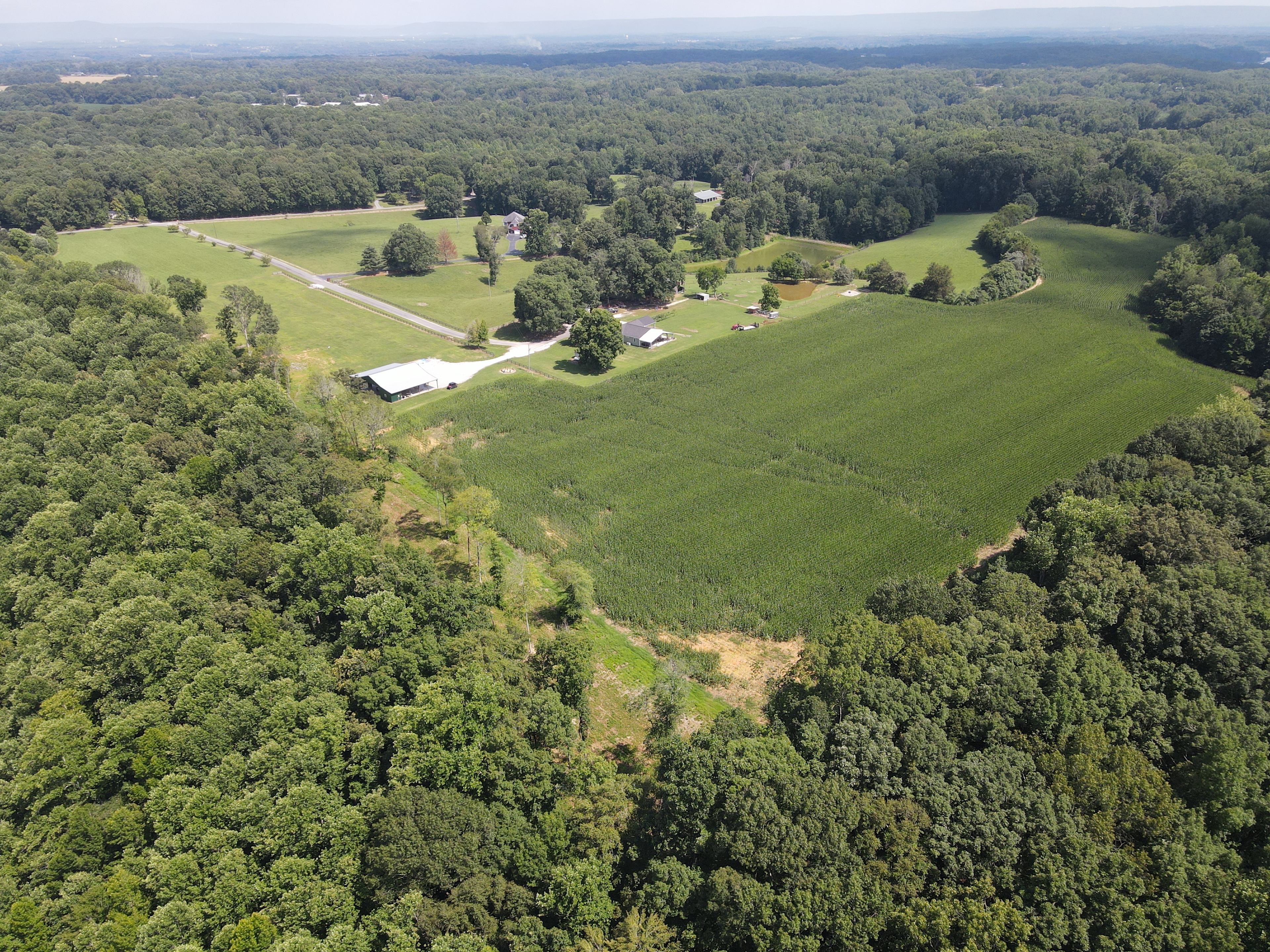 Bean Acres - Is The Place To Be