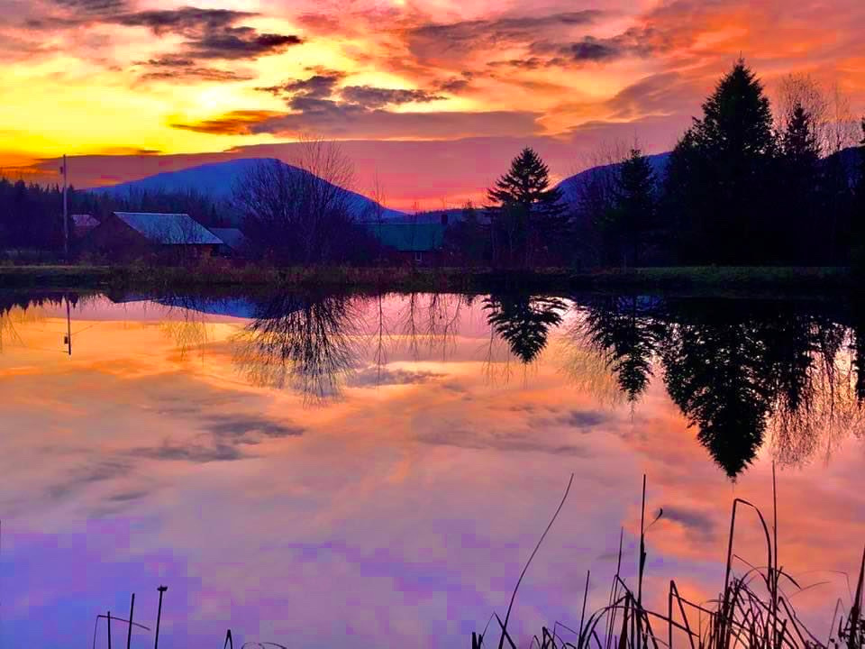 Our beautiful pond at sunset 