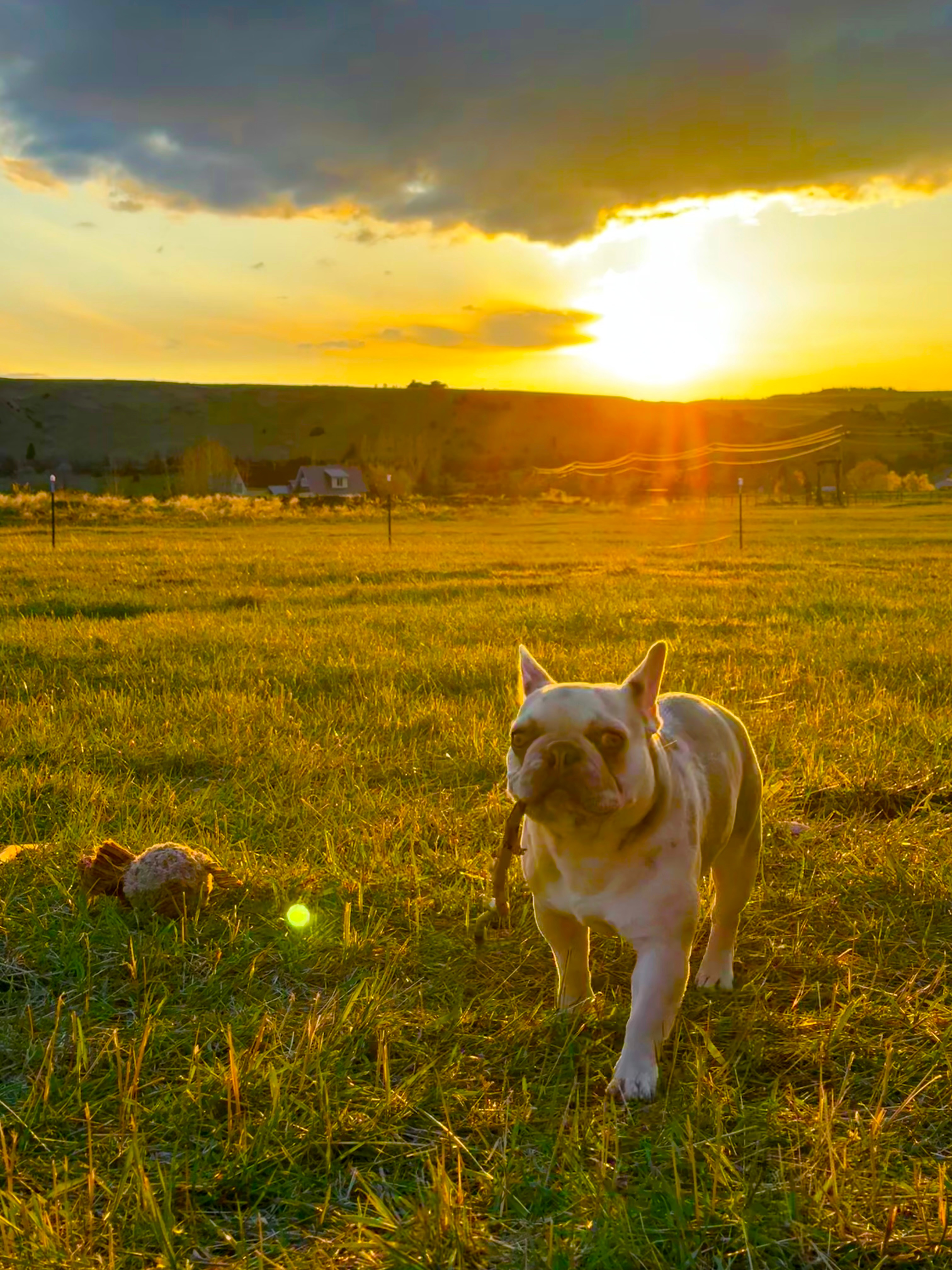 Cloud Nine Equine Ranch
