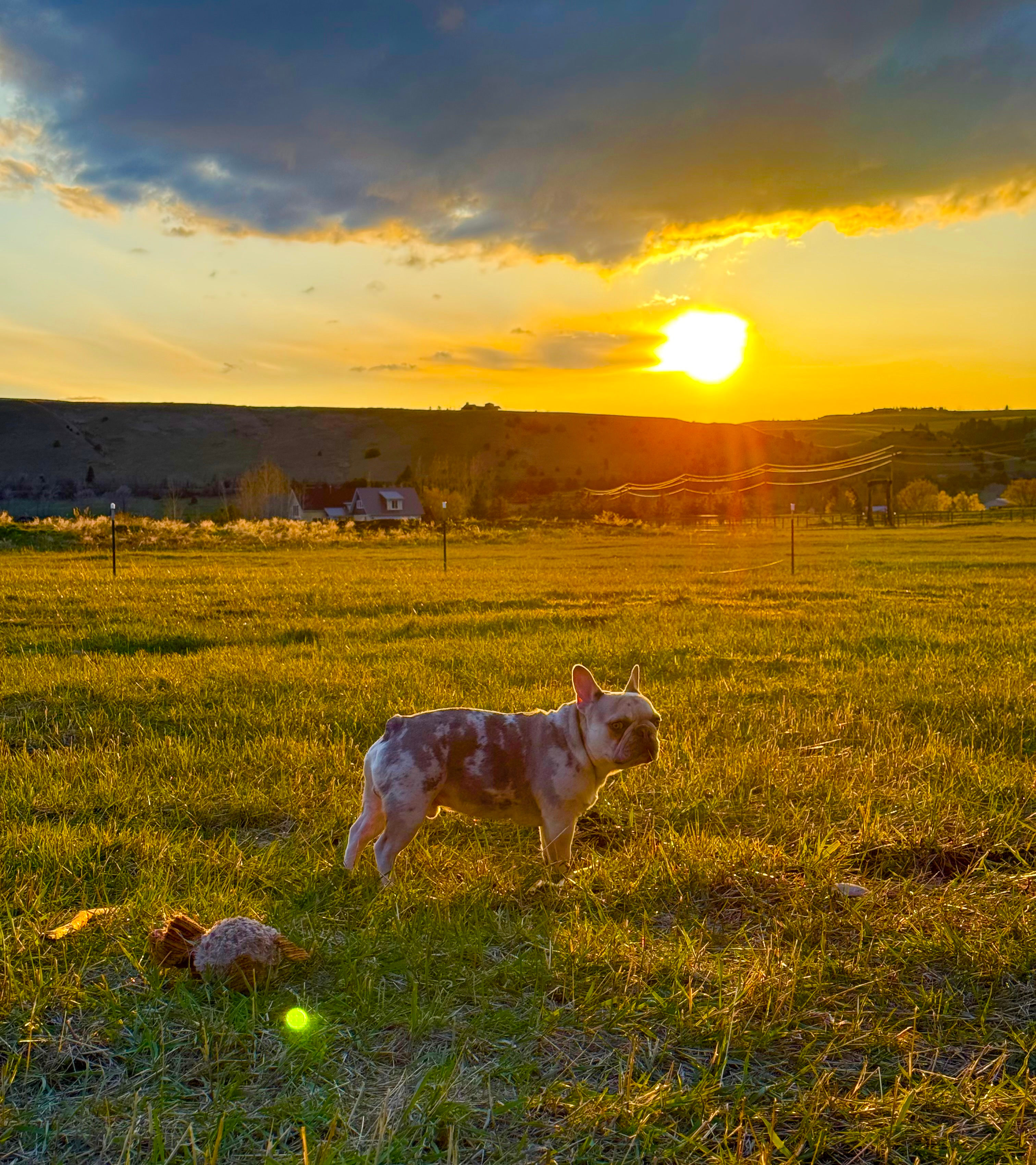 Cloud Nine Equine Ranch