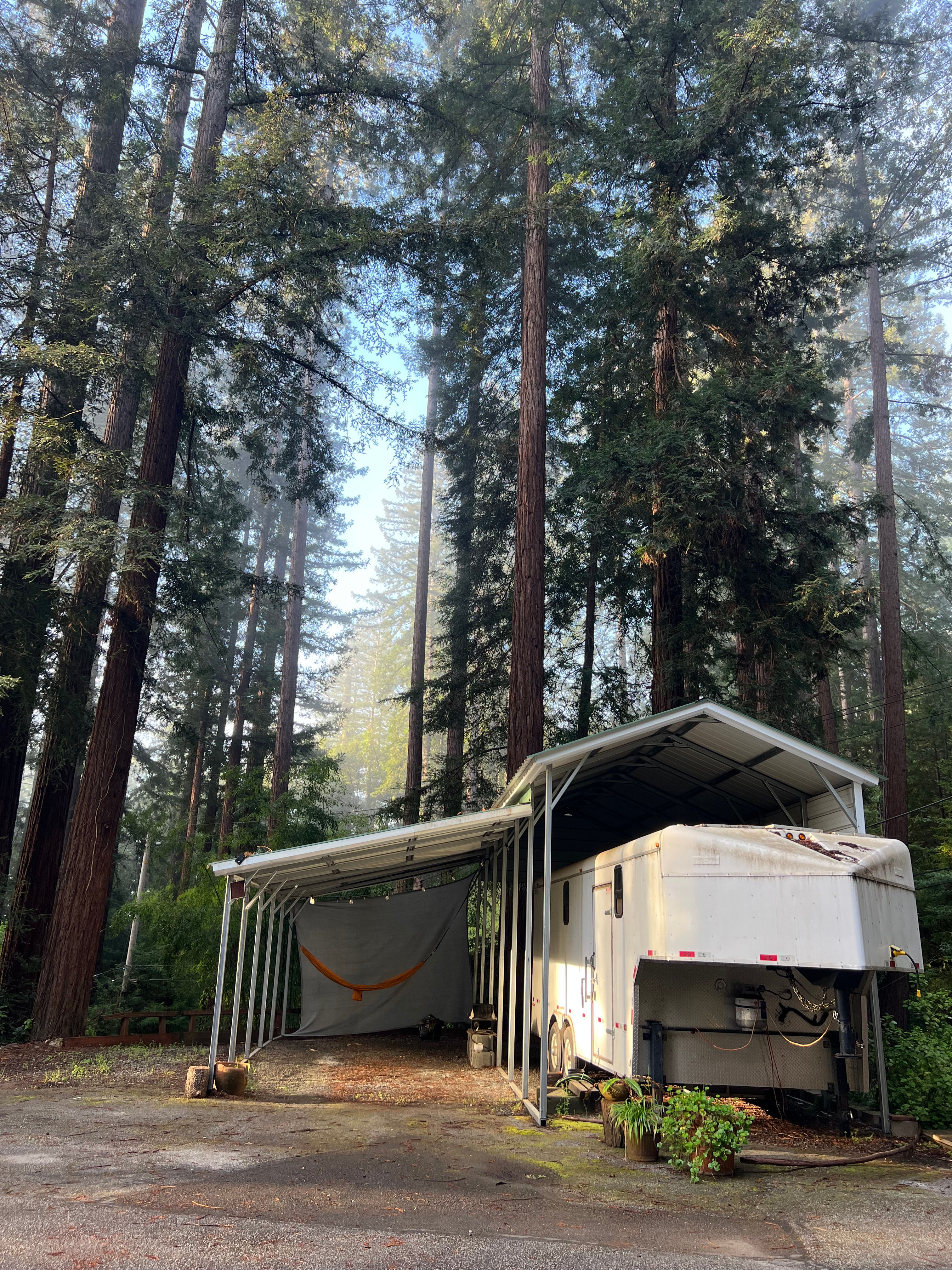 Redwood Retreat