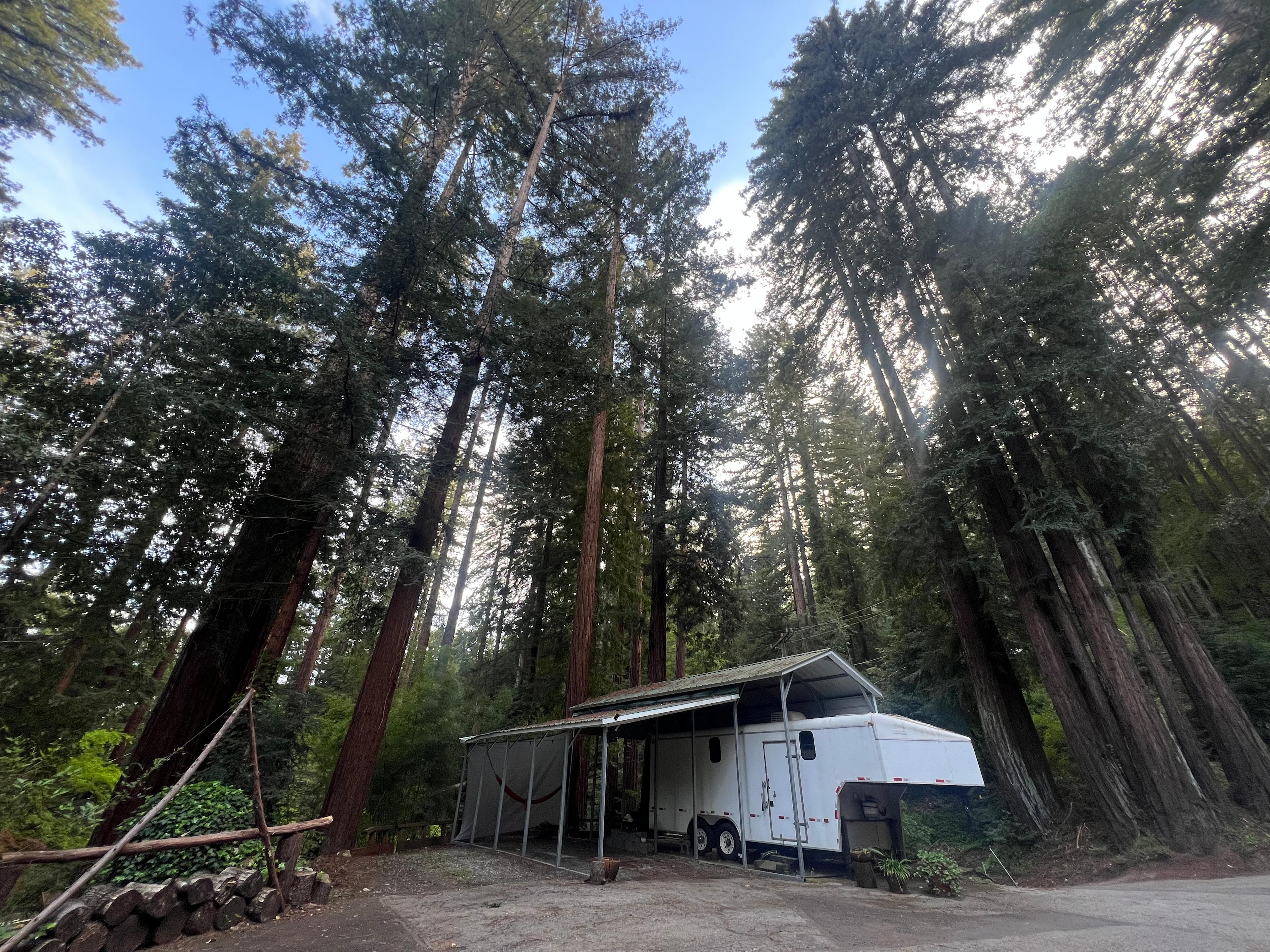 Redwood Retreat