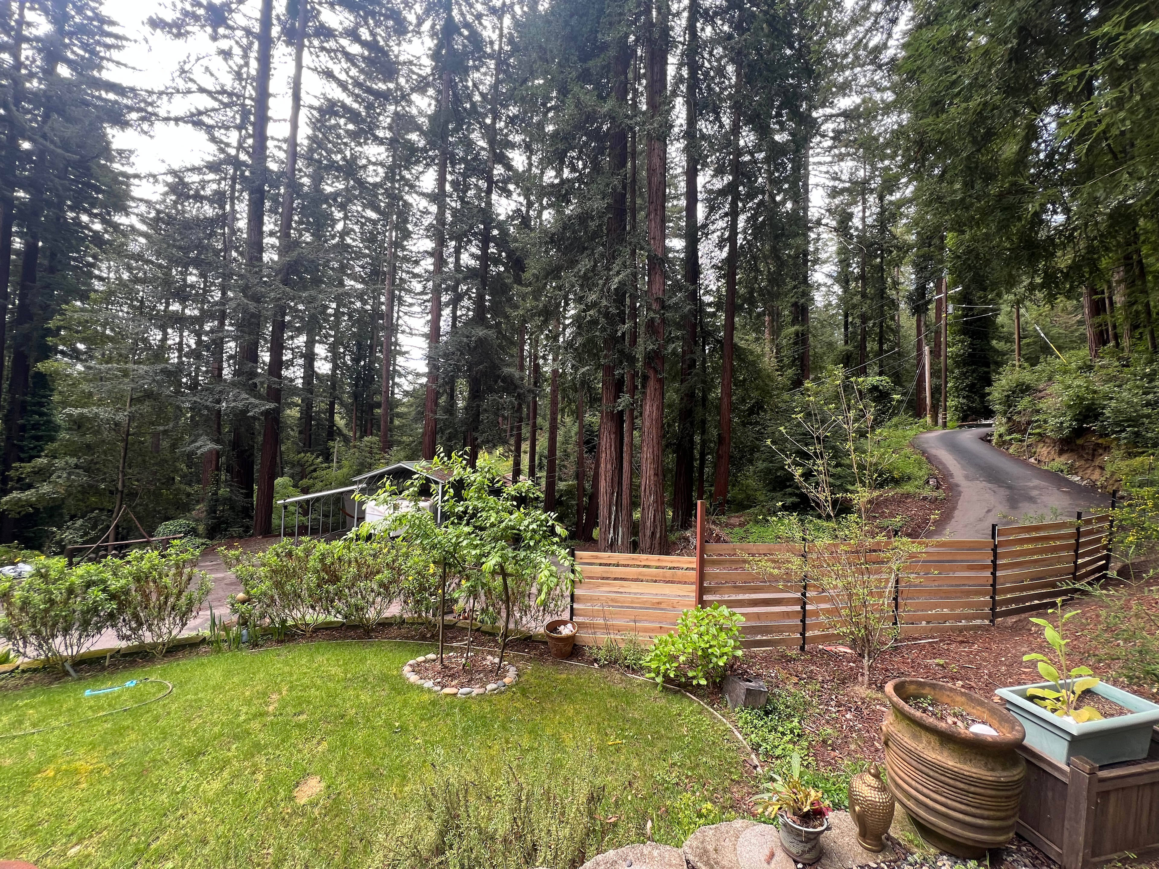 Redwood Retreat