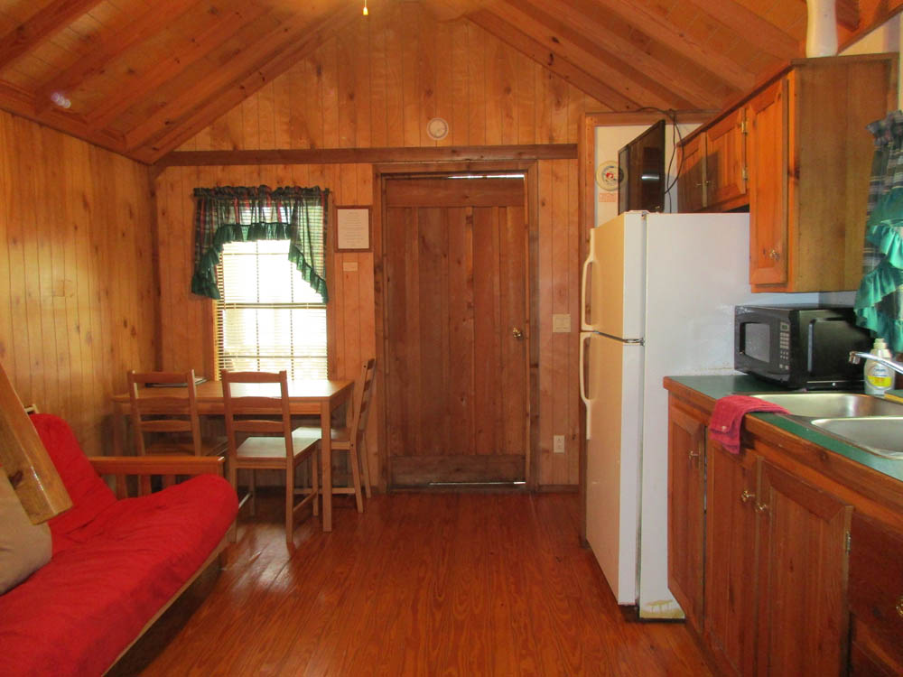 Large Cabin
