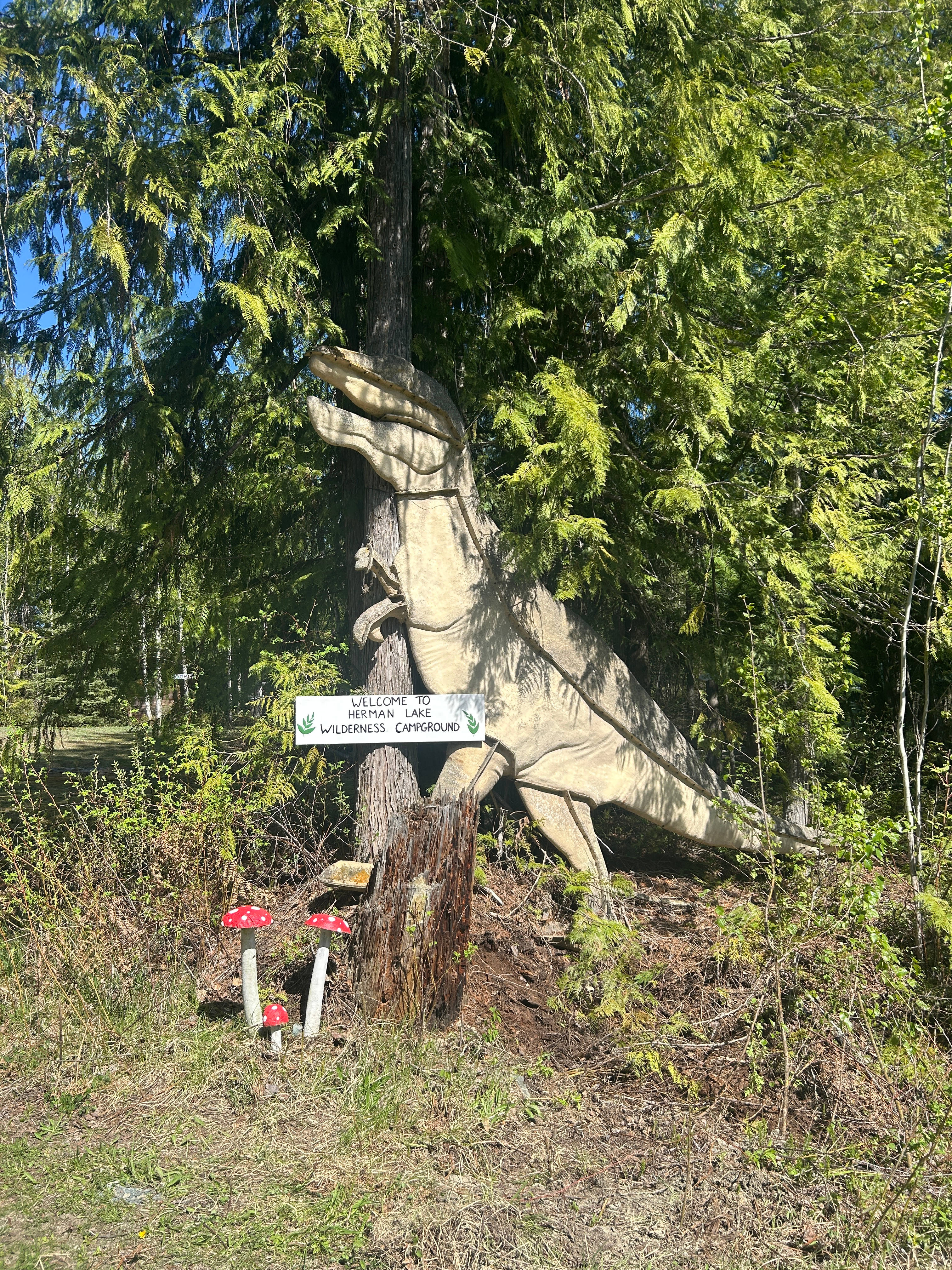 Herman Lake Wilderness Campground