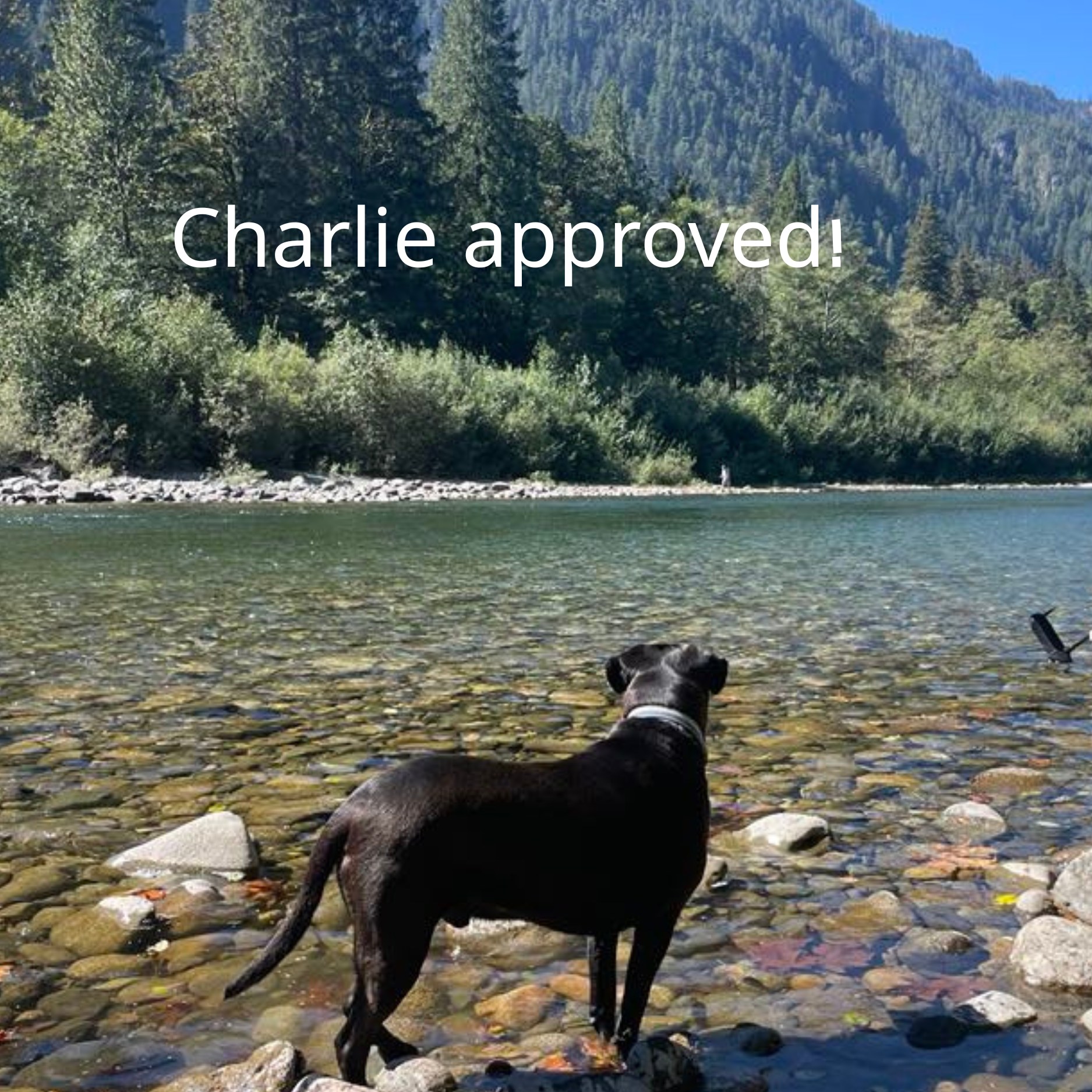 The Rivershack Baring