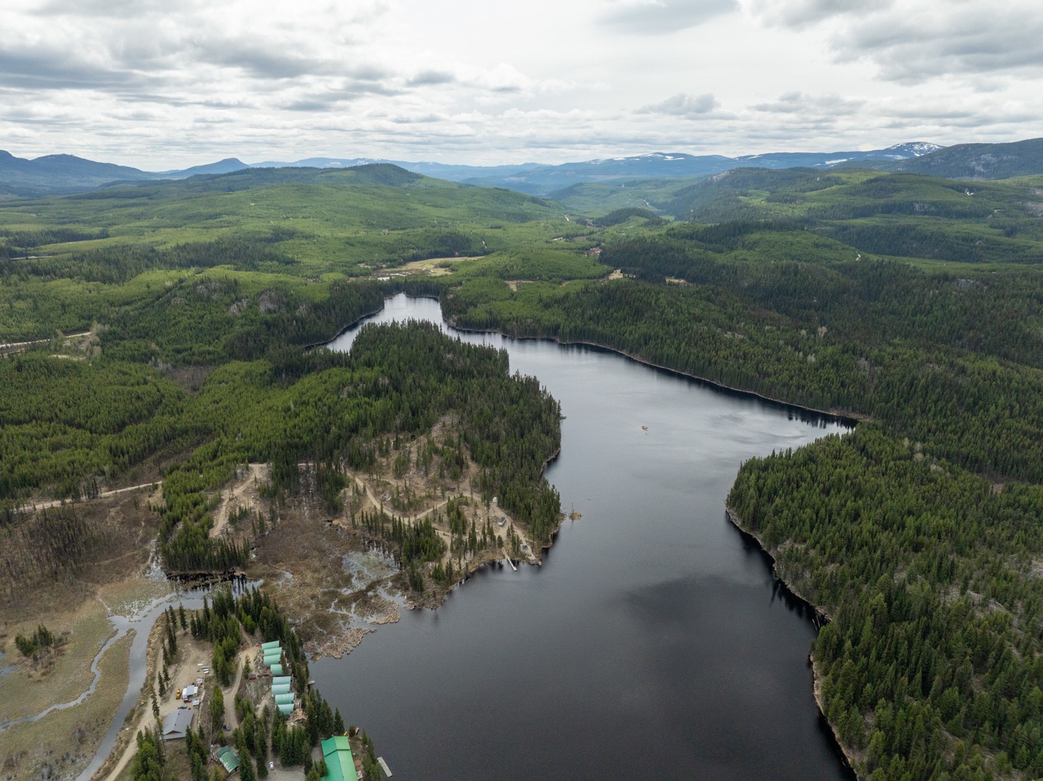 Idabel Lake - Old Growth escape