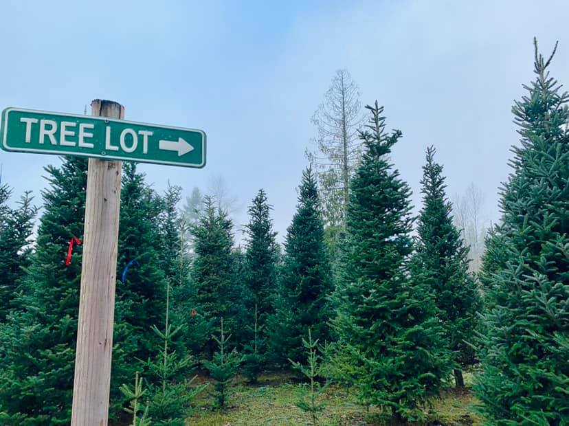 Tree Farm Retreat