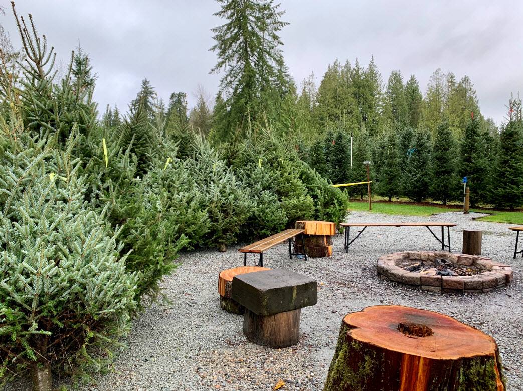 Tree Farm Retreat