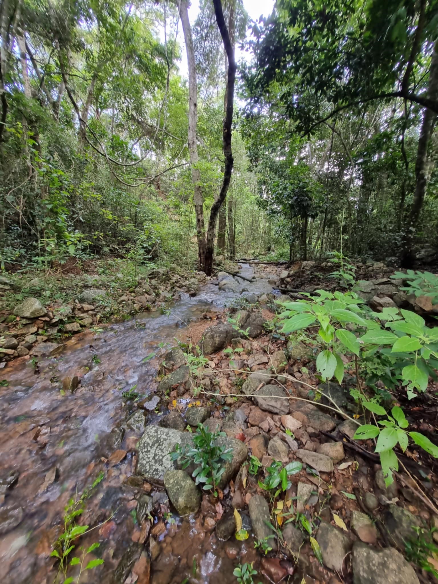 1 of 2 Seasonal Creeks on Wallaby Downs
